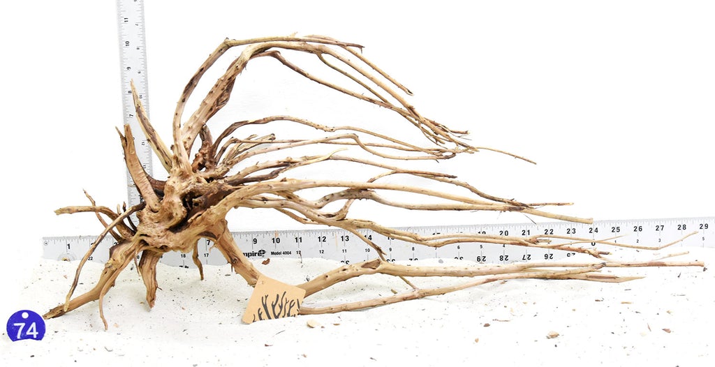 SR Aquaristik Spider Wood  Aquarium Driftwood –