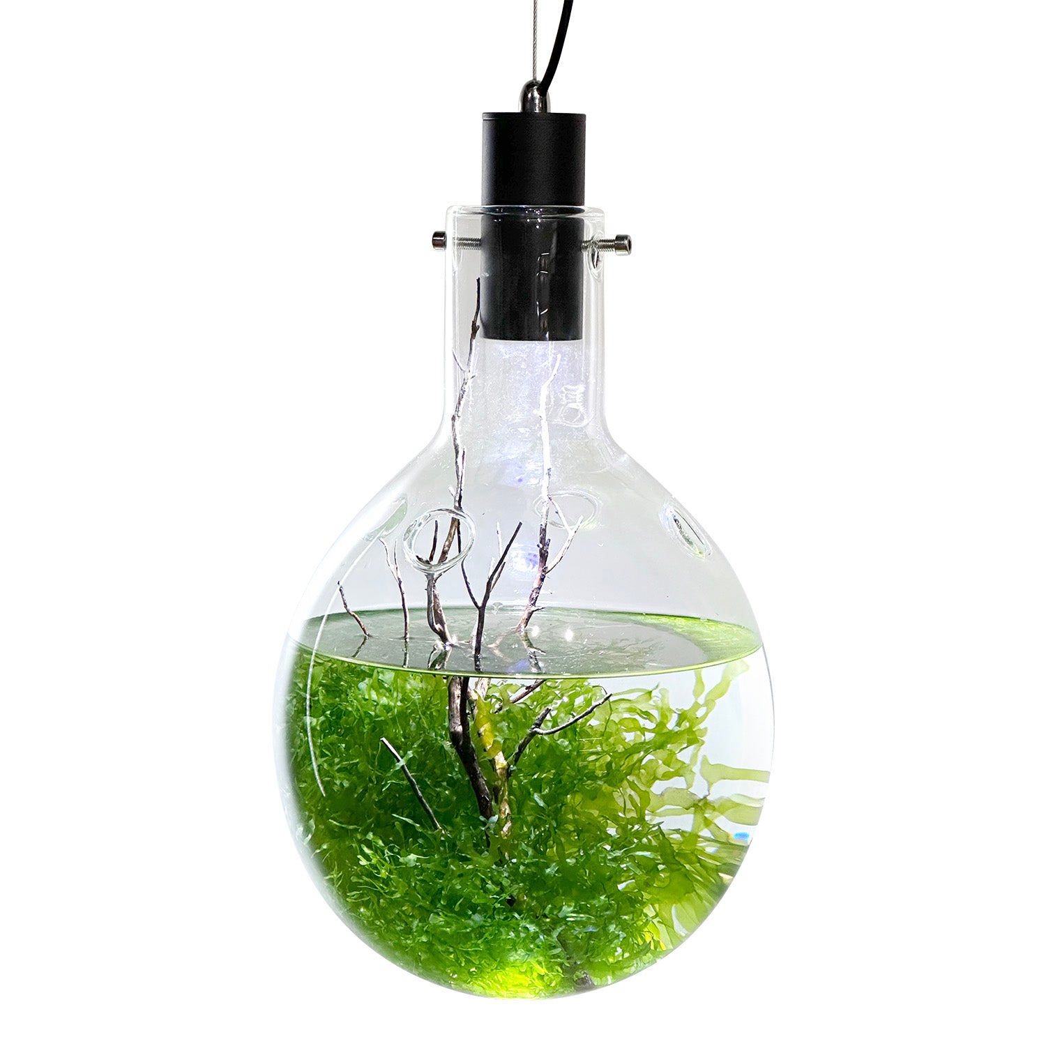 hanging lights for planted aquarium SR Aquaristik Large Luminarium Aquarium With RBW Lighting by SRaquaristik