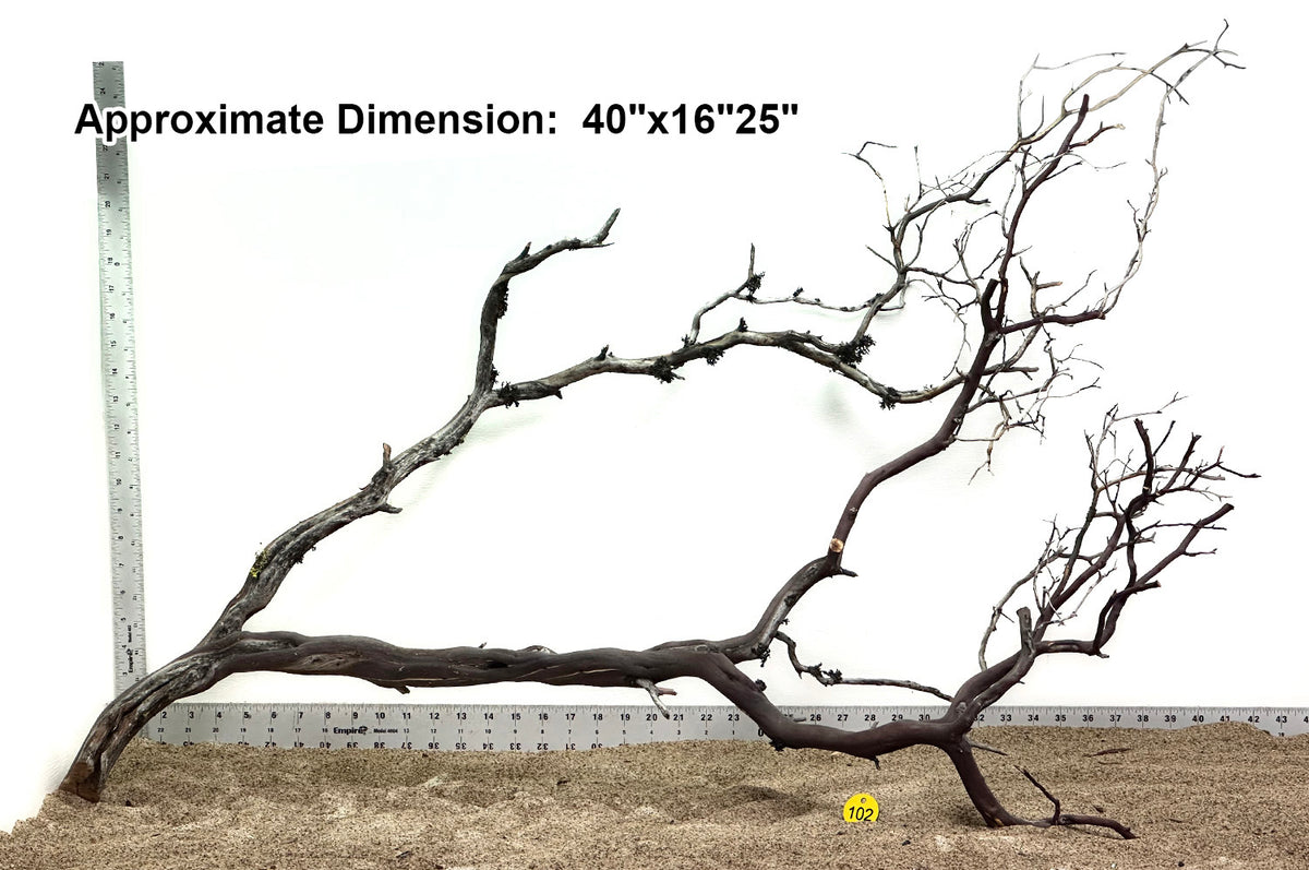 Manzanita Wood Aquarium Rock and Wood SR Aquaristik