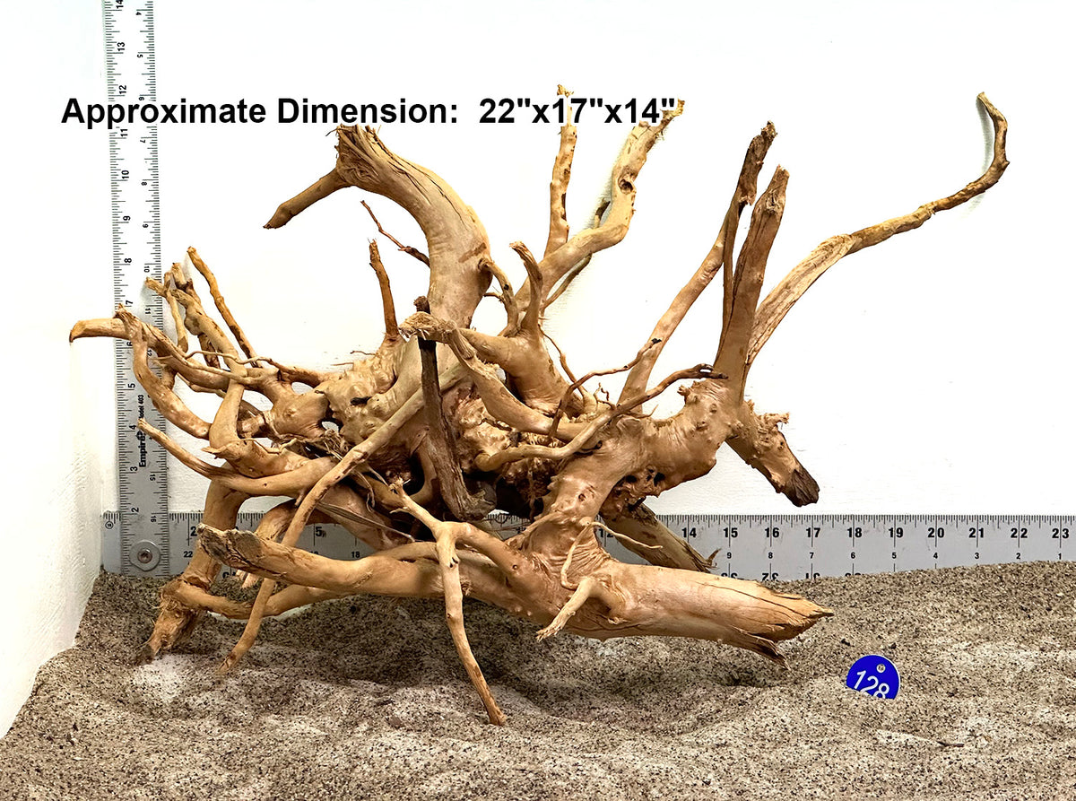 Spider Wood Aquarium Wood at SR Aquaristik