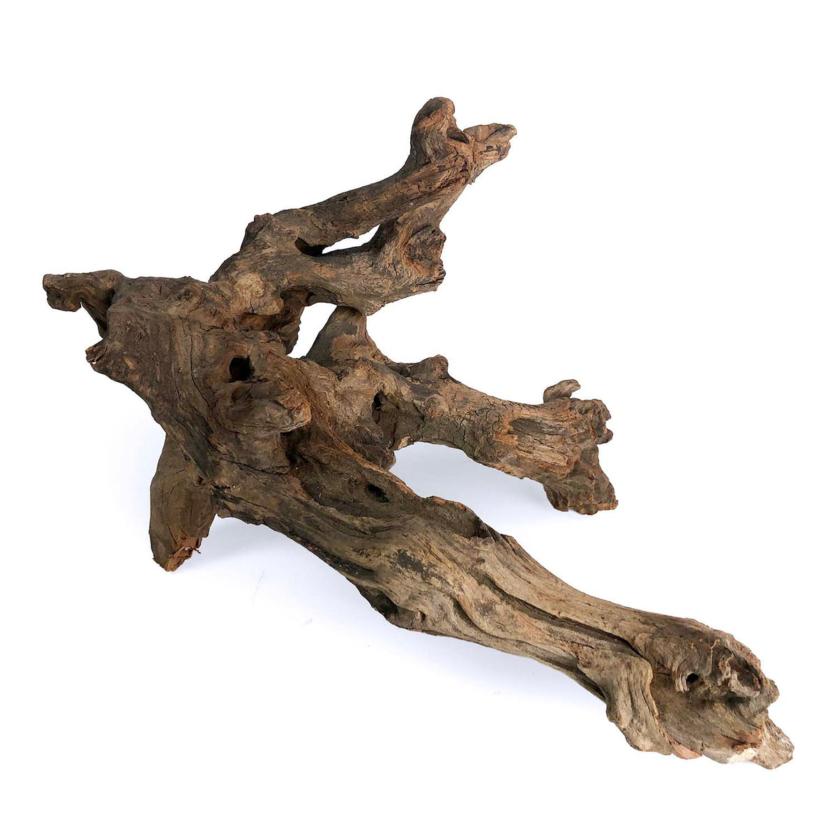 Products – Sierra Aquatic Driftwood