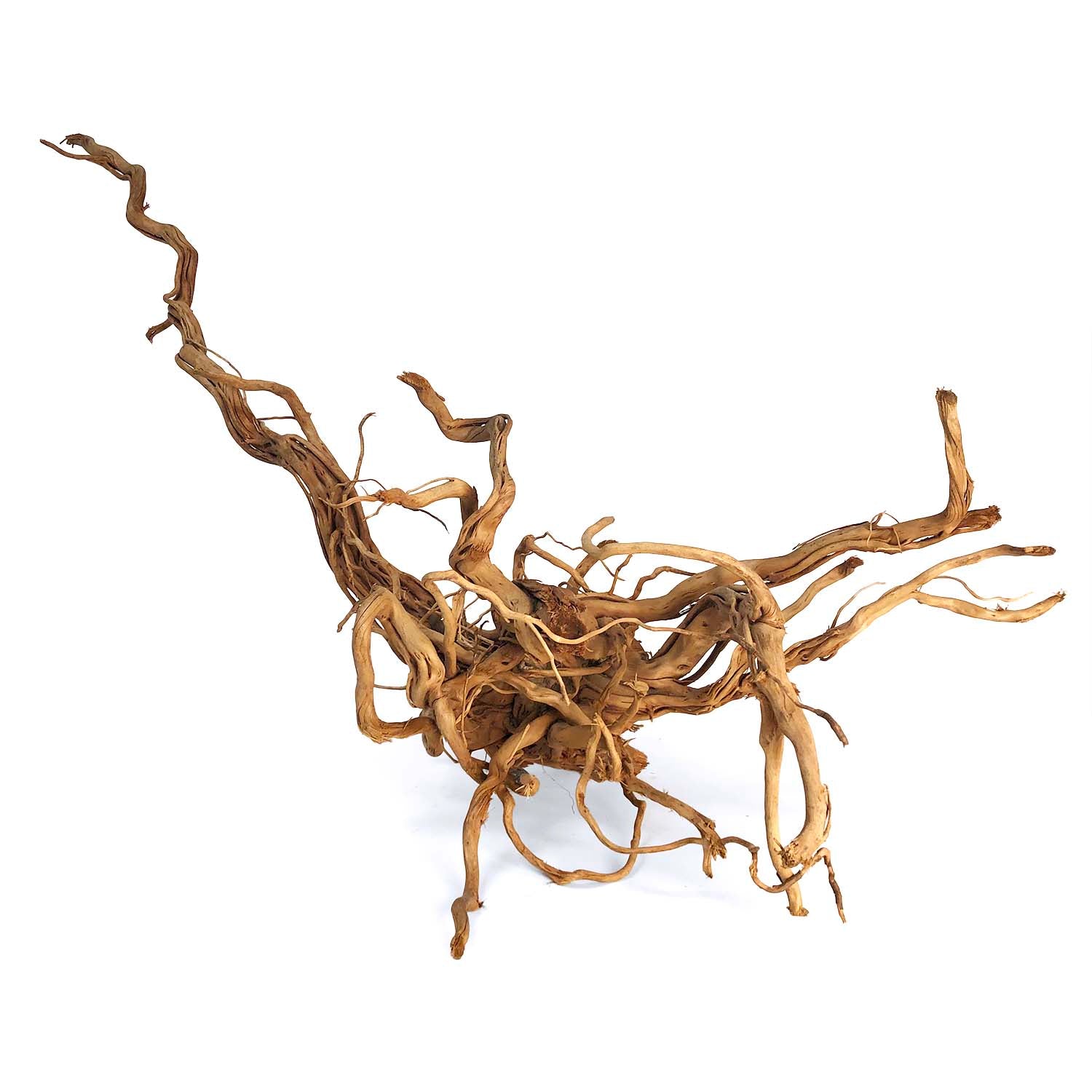 Dragon Wood (XL and XXL) | Aquarium Rocks & Wood | SR Aquaristik
