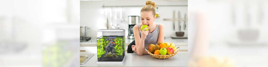 Aquariums Are Perfect for Small Spaces