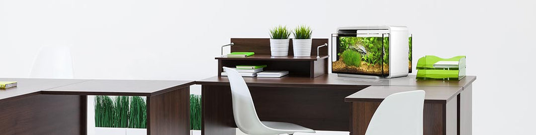 Modern and Stylish Design Adds to the Beauty of Your Small Space 