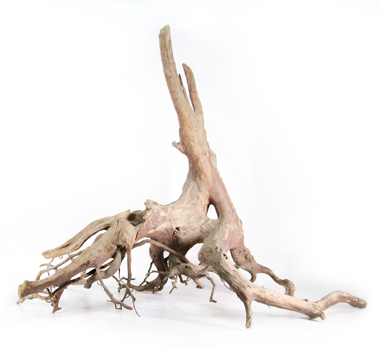 Hand Selected WYSIWYG Giant Wood