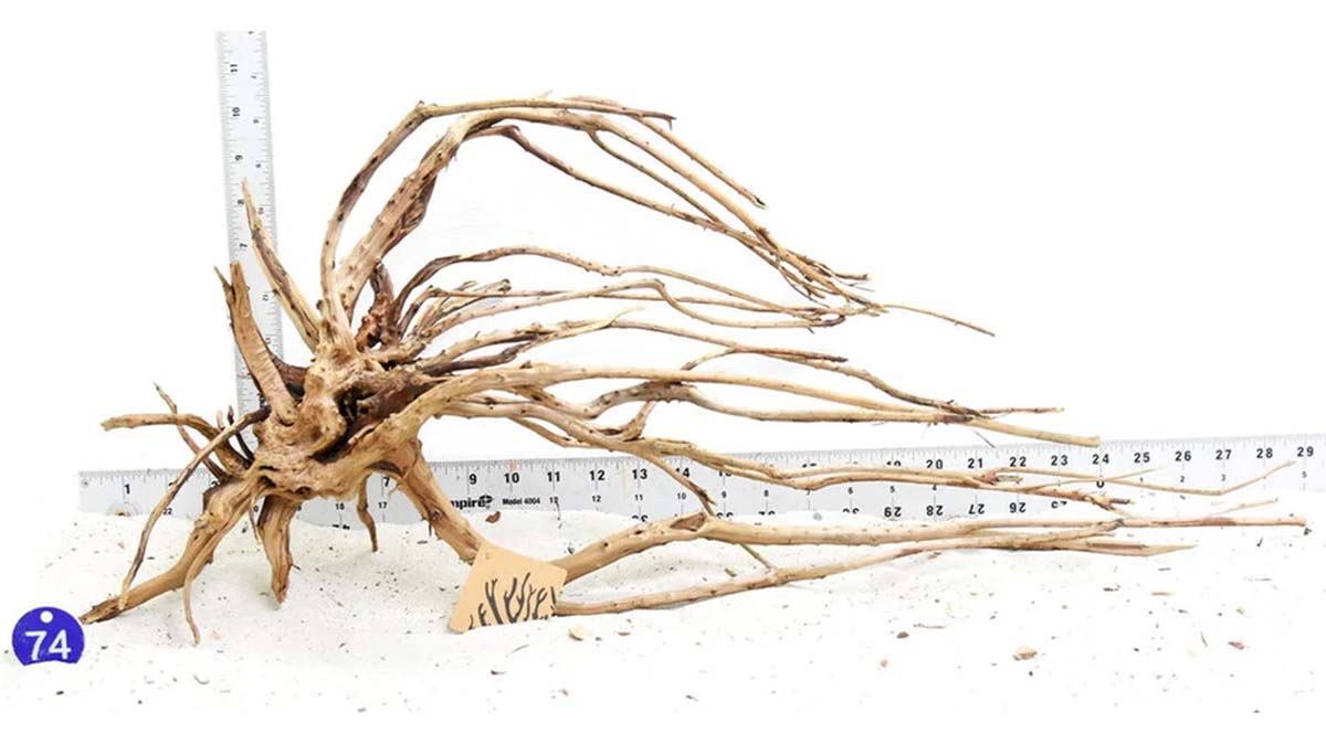 WYSIWYG Wood for Aquarium