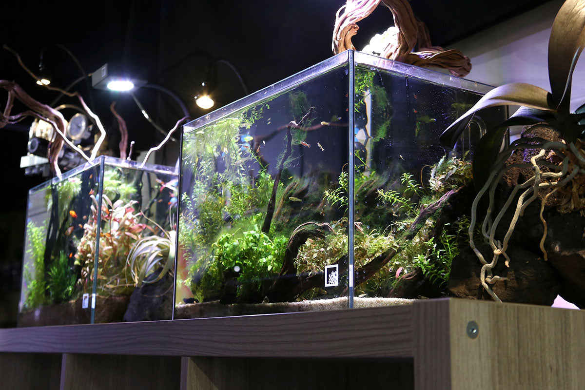 Aquarium Kits
