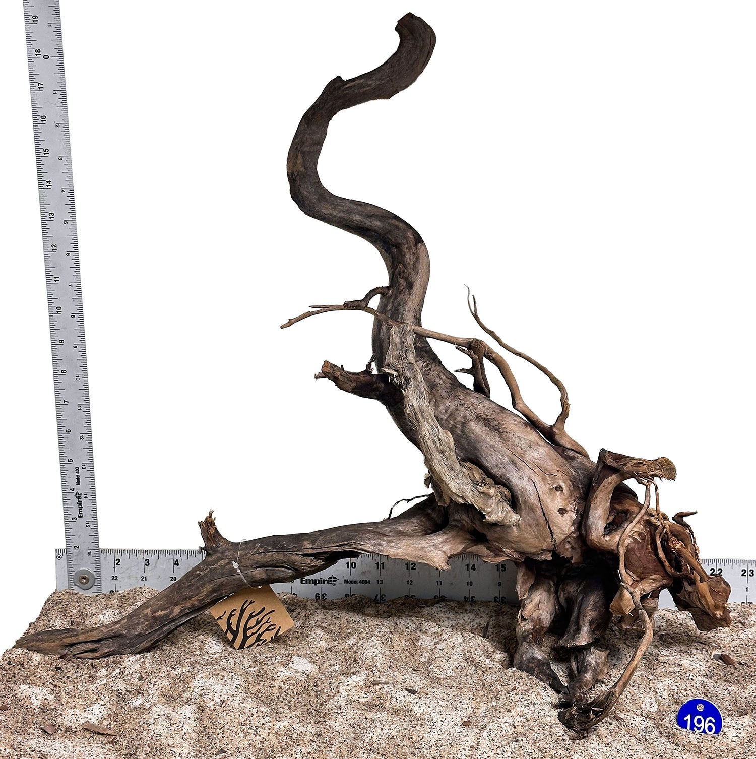 WYSIWYG 196BU - 260801 - Black Spider Wood (Large)