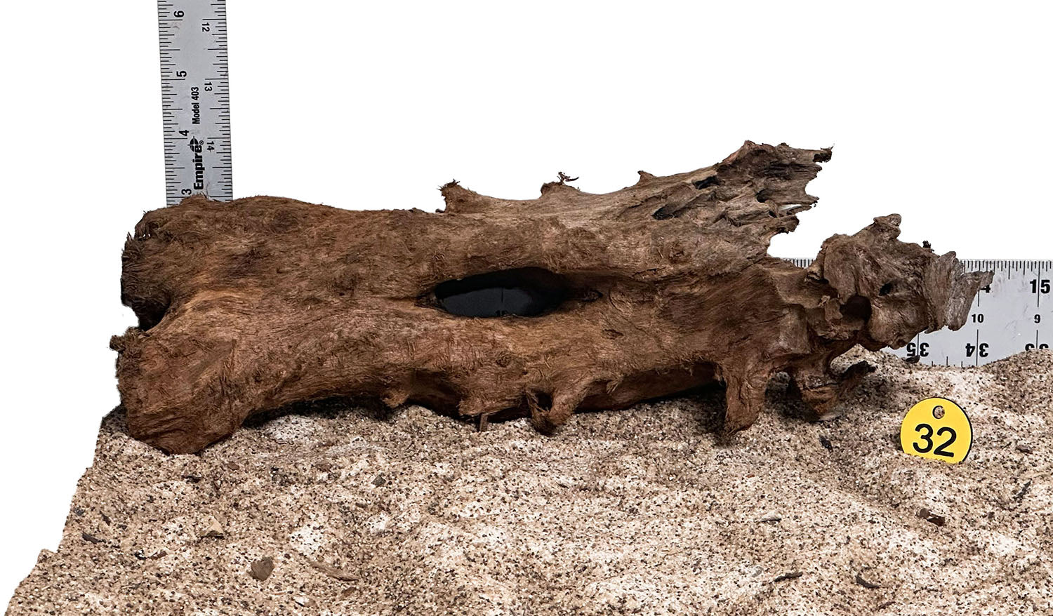 WYSIWYG 32Y - 260801 - Malaysian Mangrove Wood (Medium)