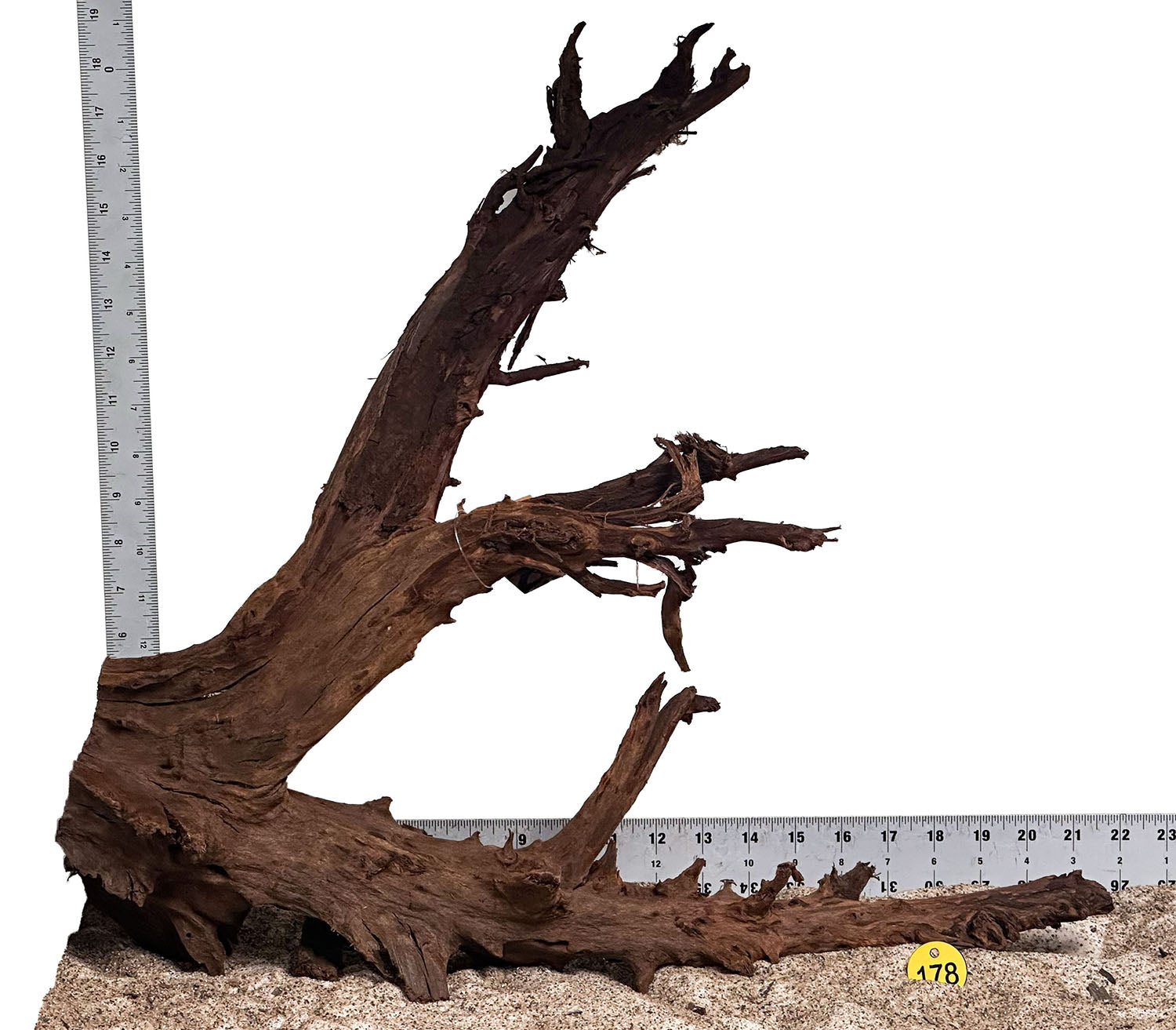WYSIWYG 178Y - 260801 - Malaysian Mangrove Wood (XL)