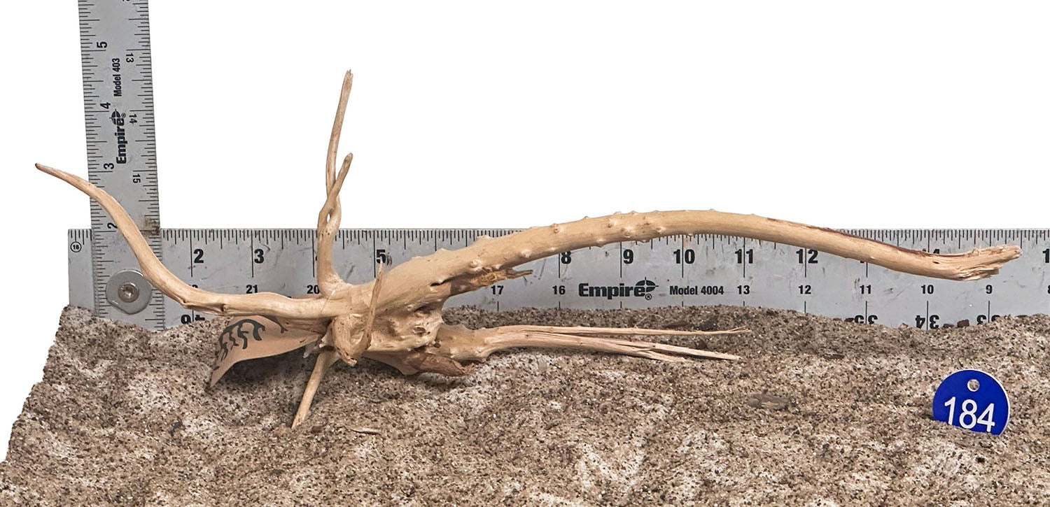 WYSIWYG 184BU - 260801 - Weathered Spider Wood (Small)