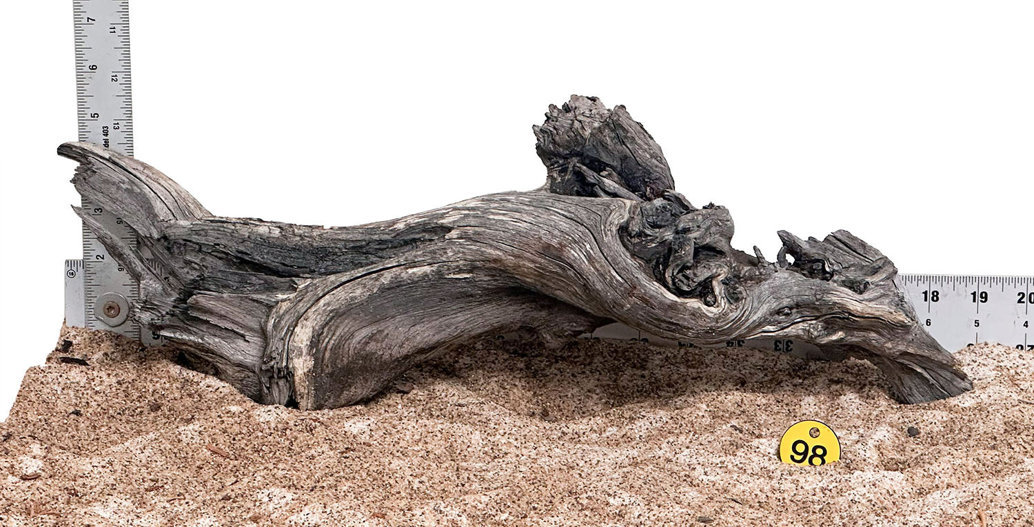 WYSIWYG 98Y - 260218 - Manzanita Wood (Large)