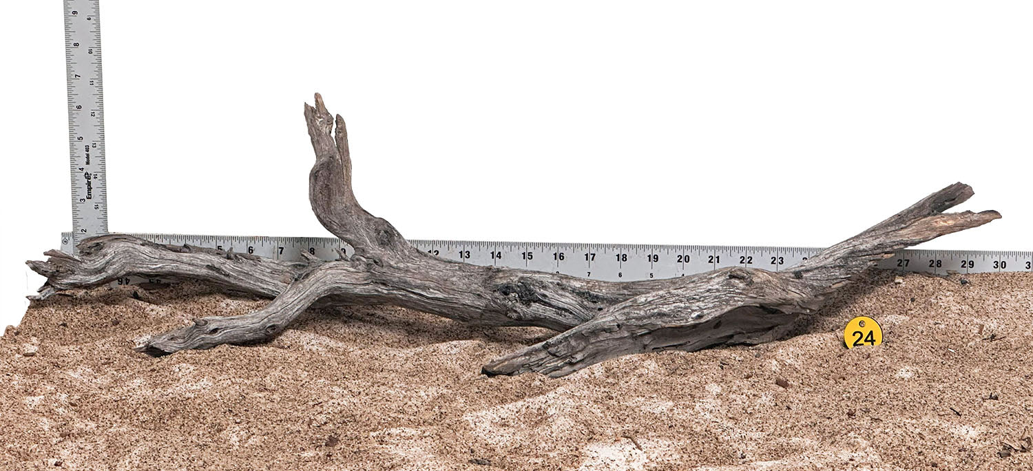 WYSIWYG 24Y - 260218 - Manzanita Wood (XL)
