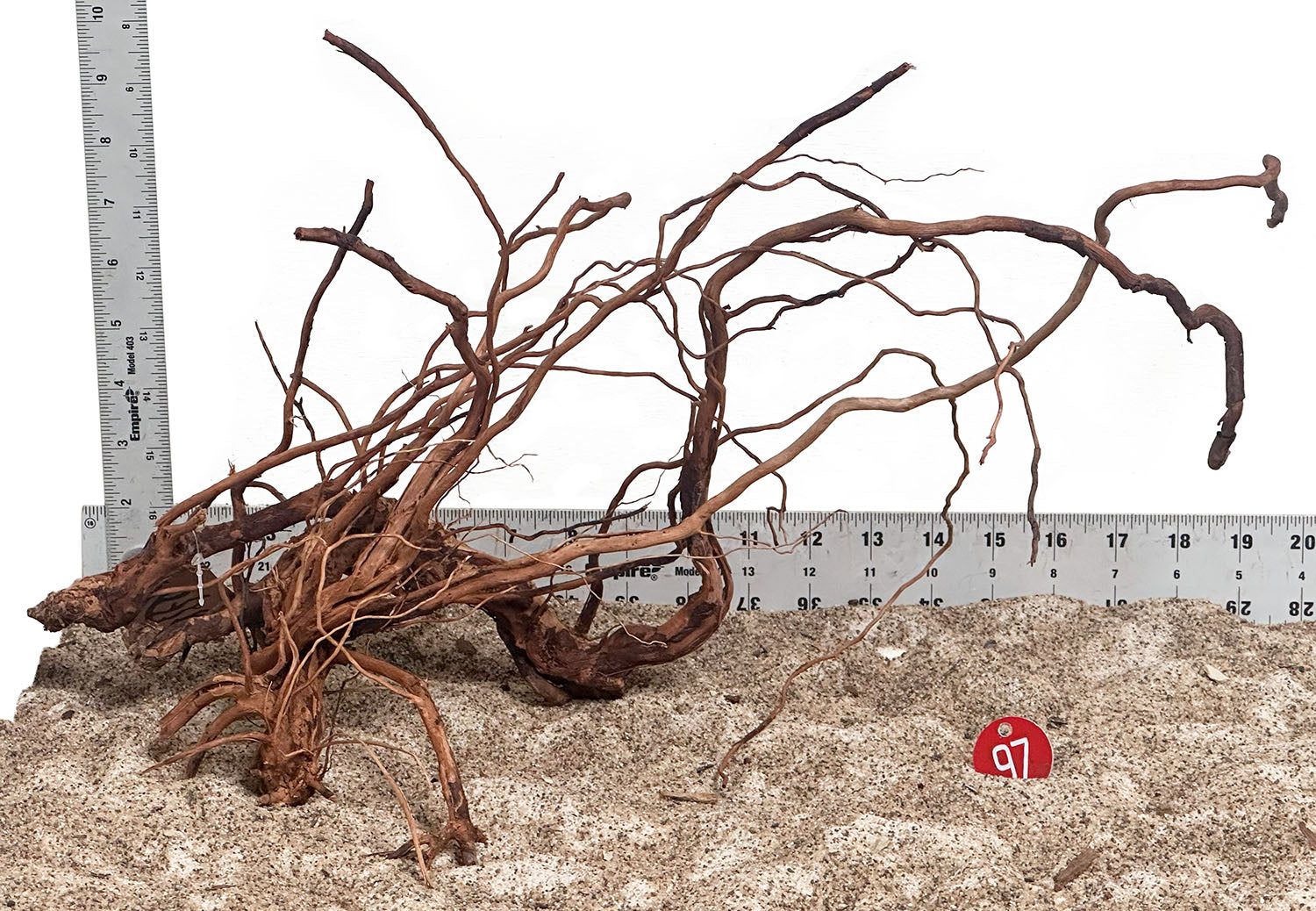 WYSIWYG 97RD - 260703 - Dragon Wood (Medium)