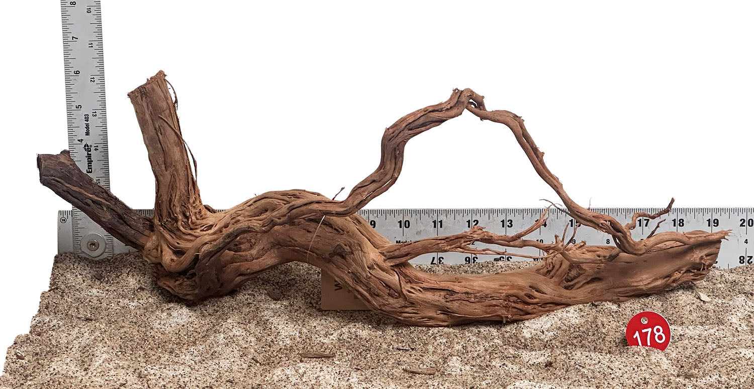 WYSIWYG 178RD - 260703 - Dragon Wood (Medium)