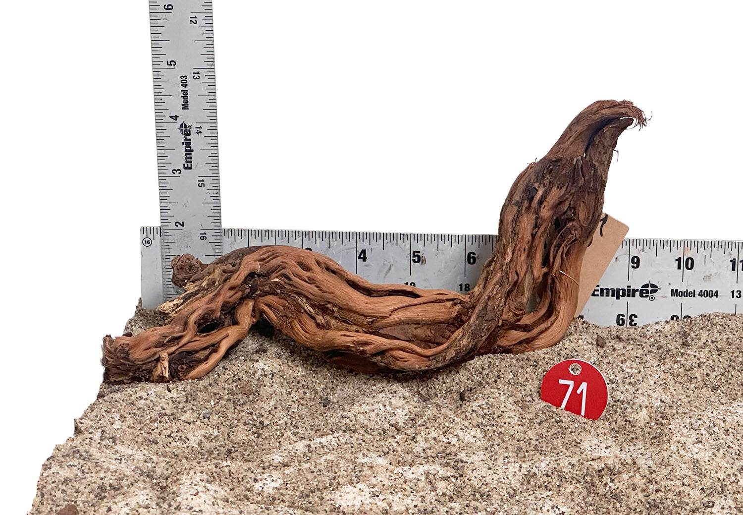 WYSIWYG 71RD - 260703 - Dragon Wood (Small)