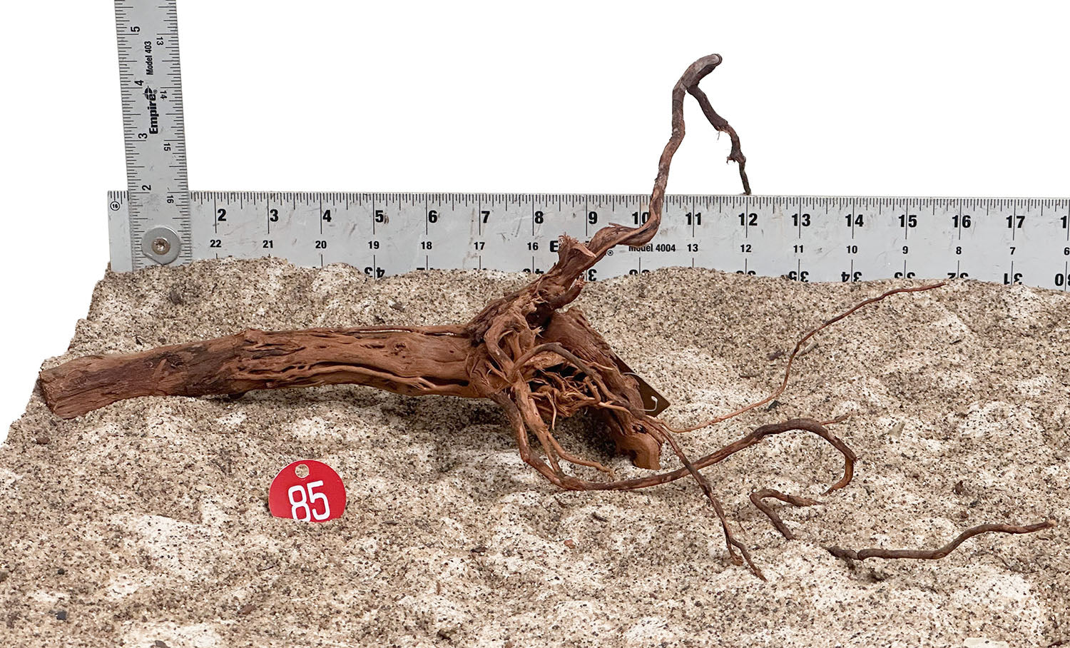 WYSIWYG 85RD - 260703 - Dragon Wood (Small)