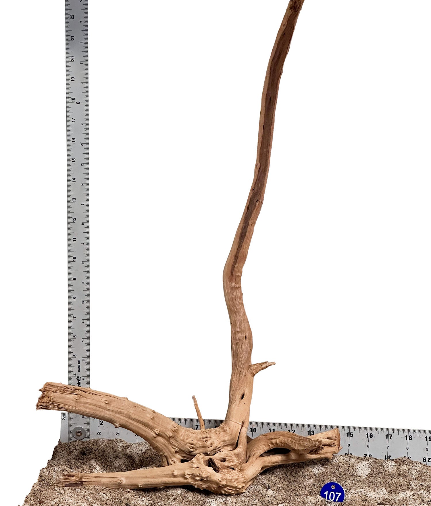 WYSIWYG 107BU - 260703 - Pine Spider Wood (Large)