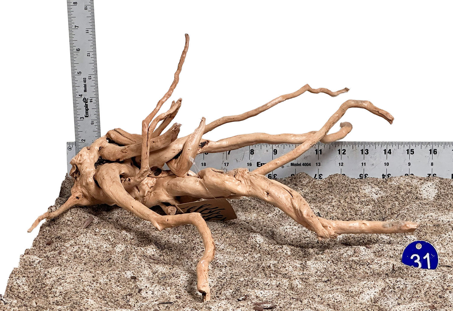 WYSIWYG 31BU - 260703 - Spider Wood (Medium)