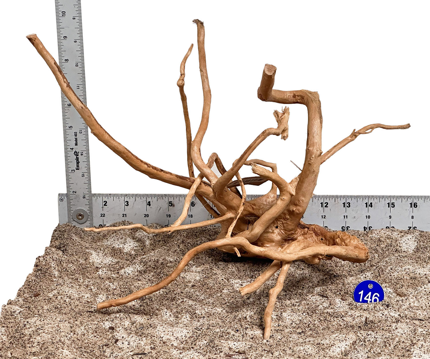 WYSIWYG 146BU - 260703 - Spider Wood (Medium)