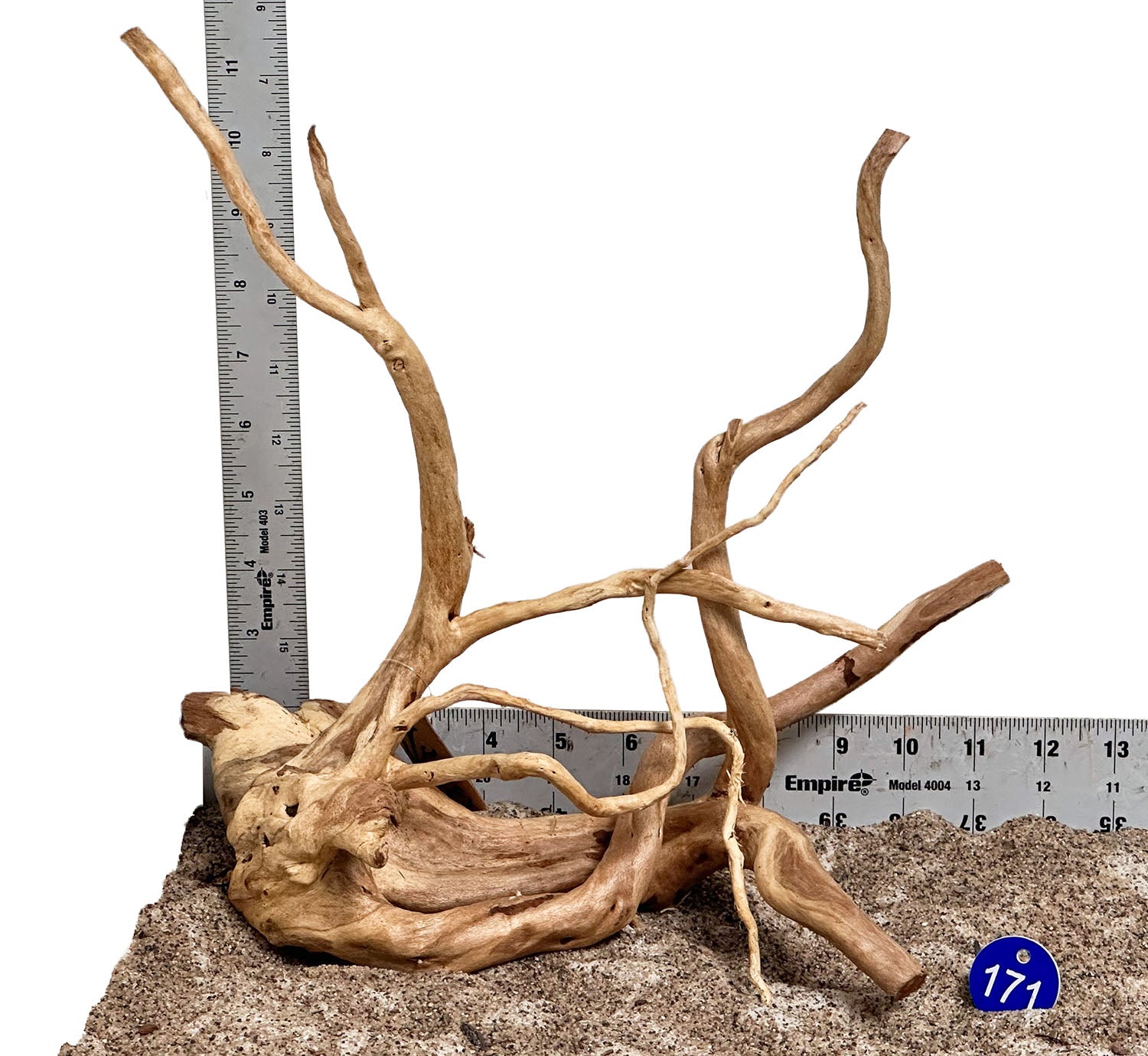 WYSIWYG 171BU - 260703 - Spider Wood (Medium)