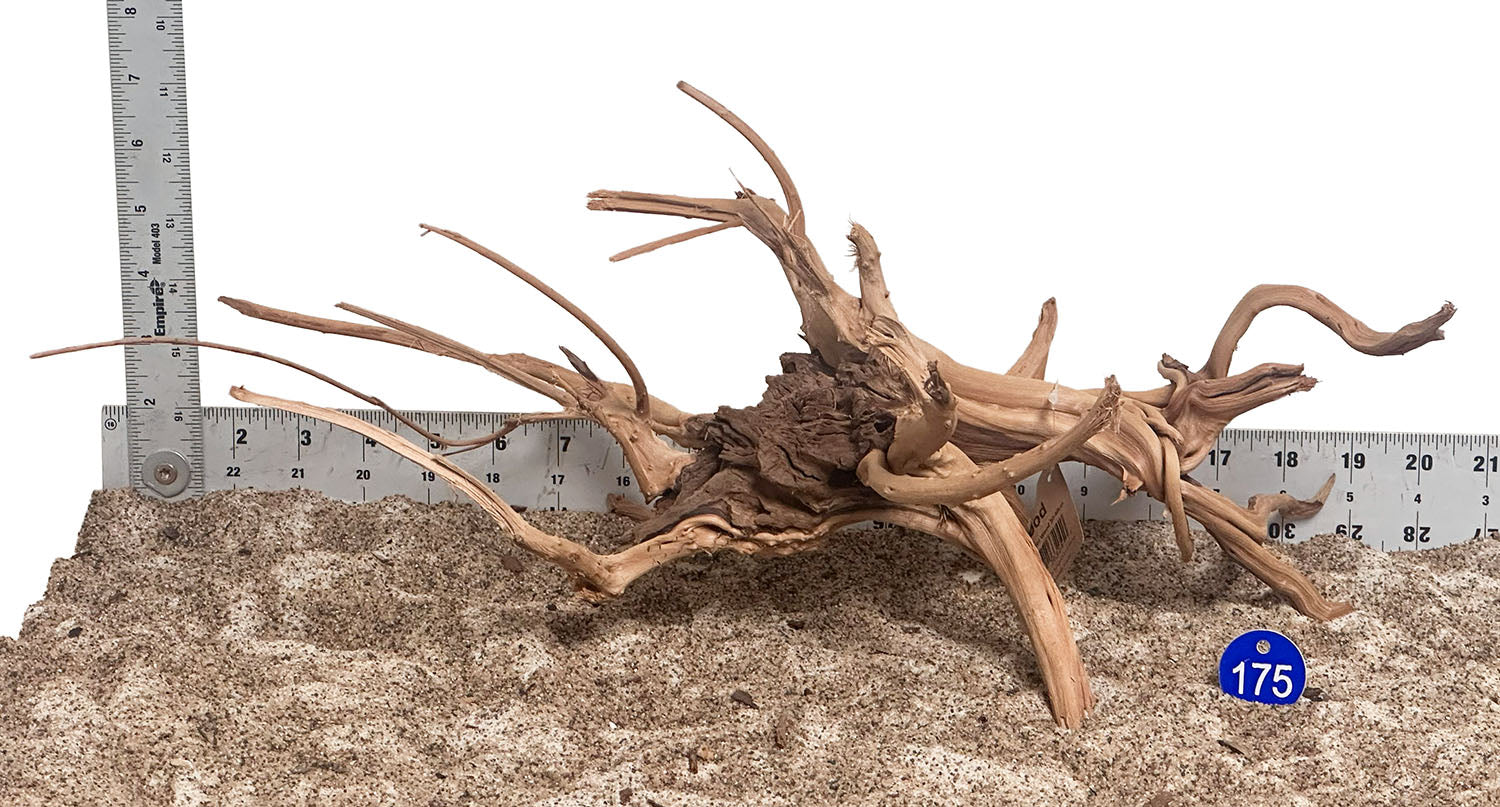 WYSIWYG 175BU - 260703 - Weathered Spider Wood (Medium)