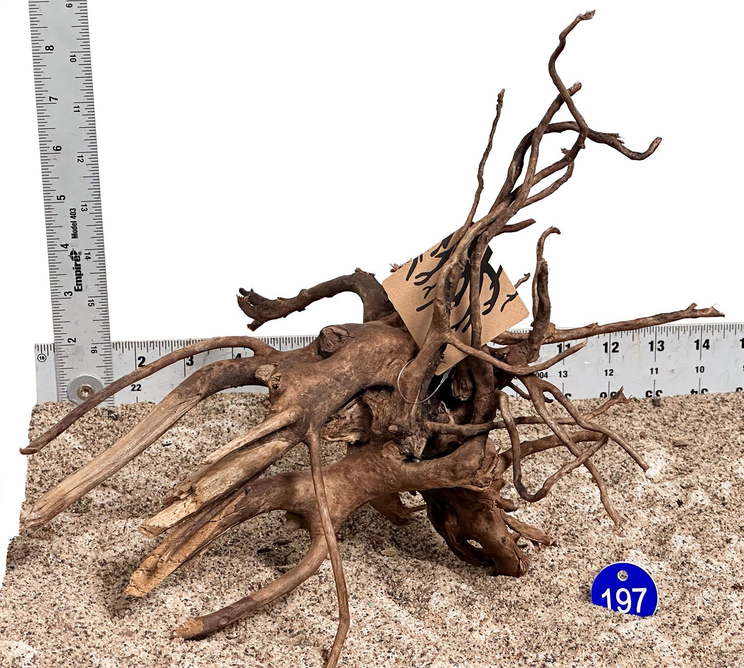 WYSIWYG 197BU - 260616 - Black Spider Wood (Small)