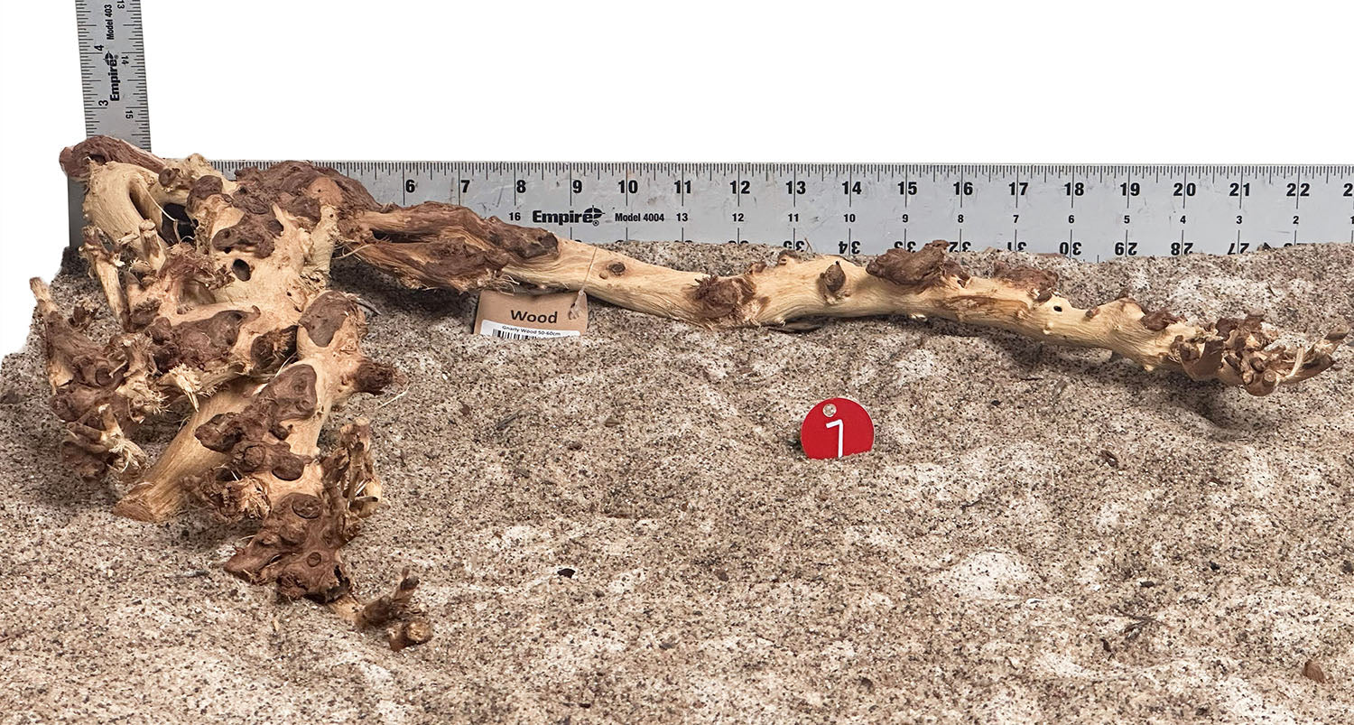 WYSIWYG 7RD - 260616 - Gnarly Wood (XL)