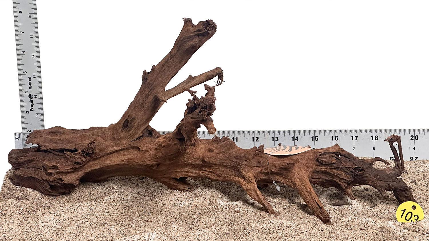 WYSIWYG 103Y - 260616 - Malaysian Mangrove Wood (Large)