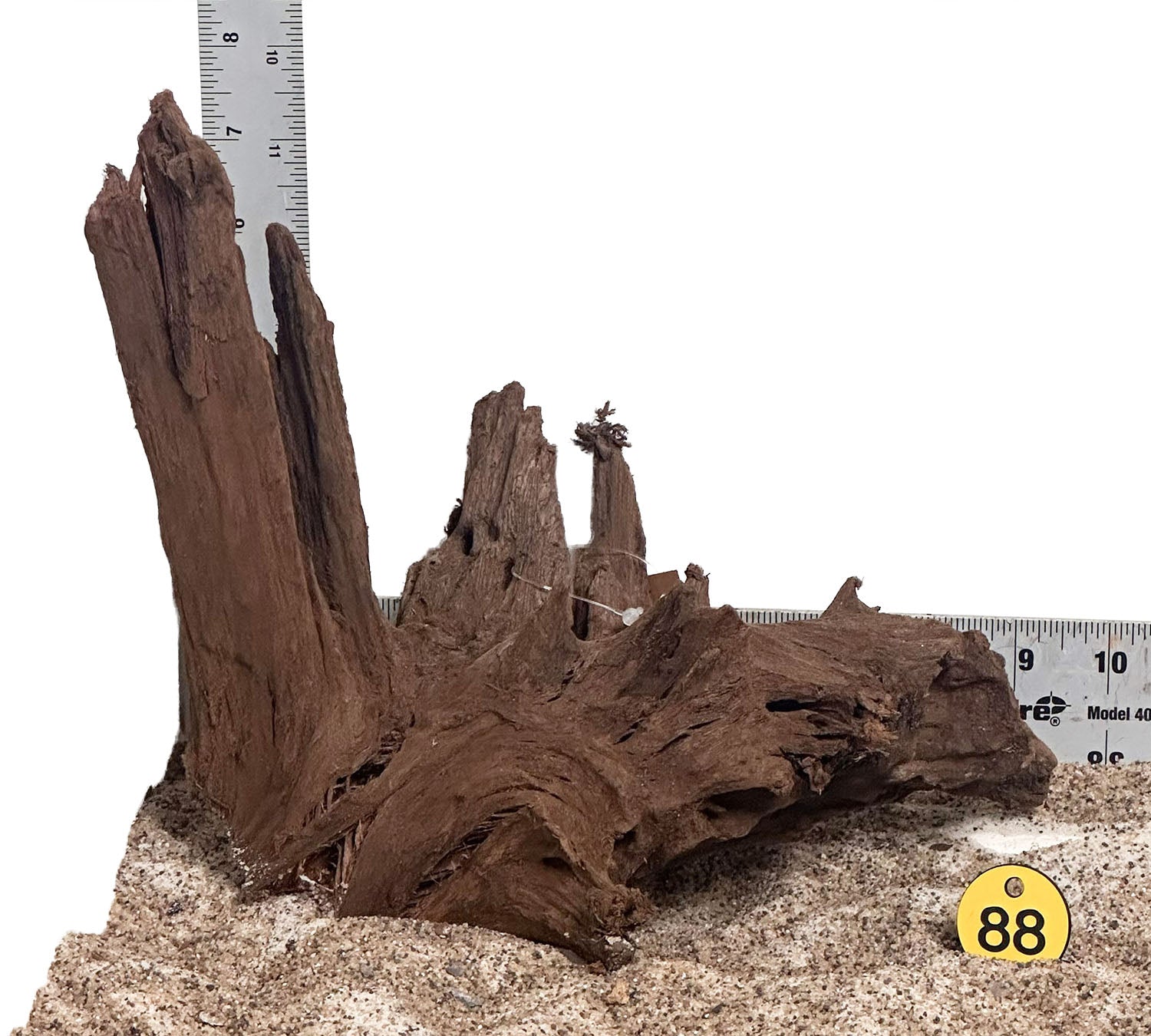 WYSIWYG 88Y - 260616 - Malaysian Mangrove Wood (Medium)
