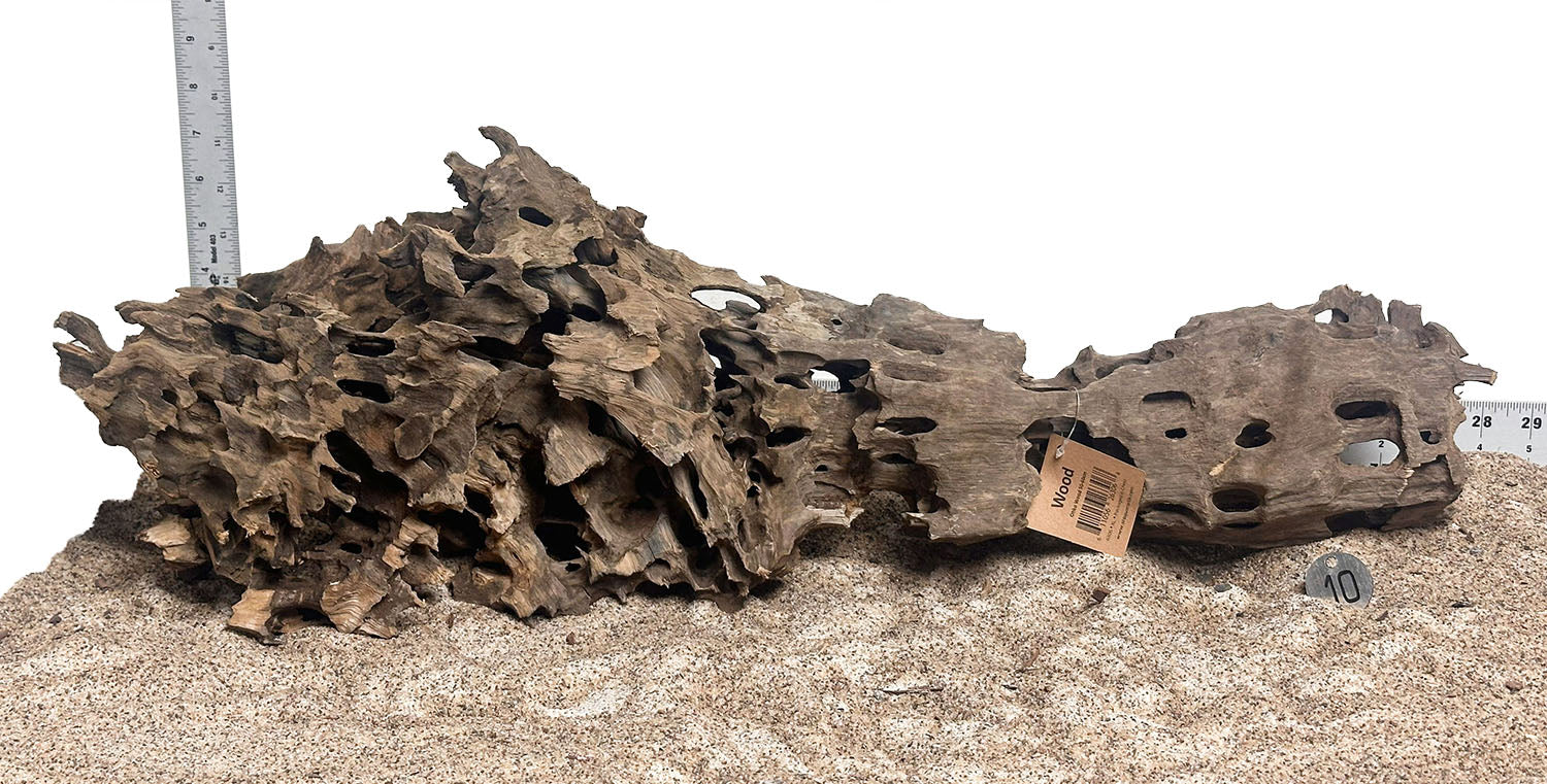 WYSIWYG 10S - 260616 - Ohko Wood (XL)