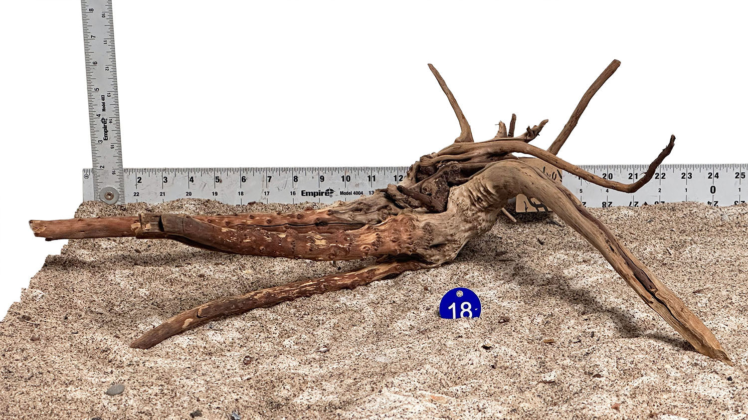 WYSIWYG 18BU - 260616 - Pine Spider Wood (XL)