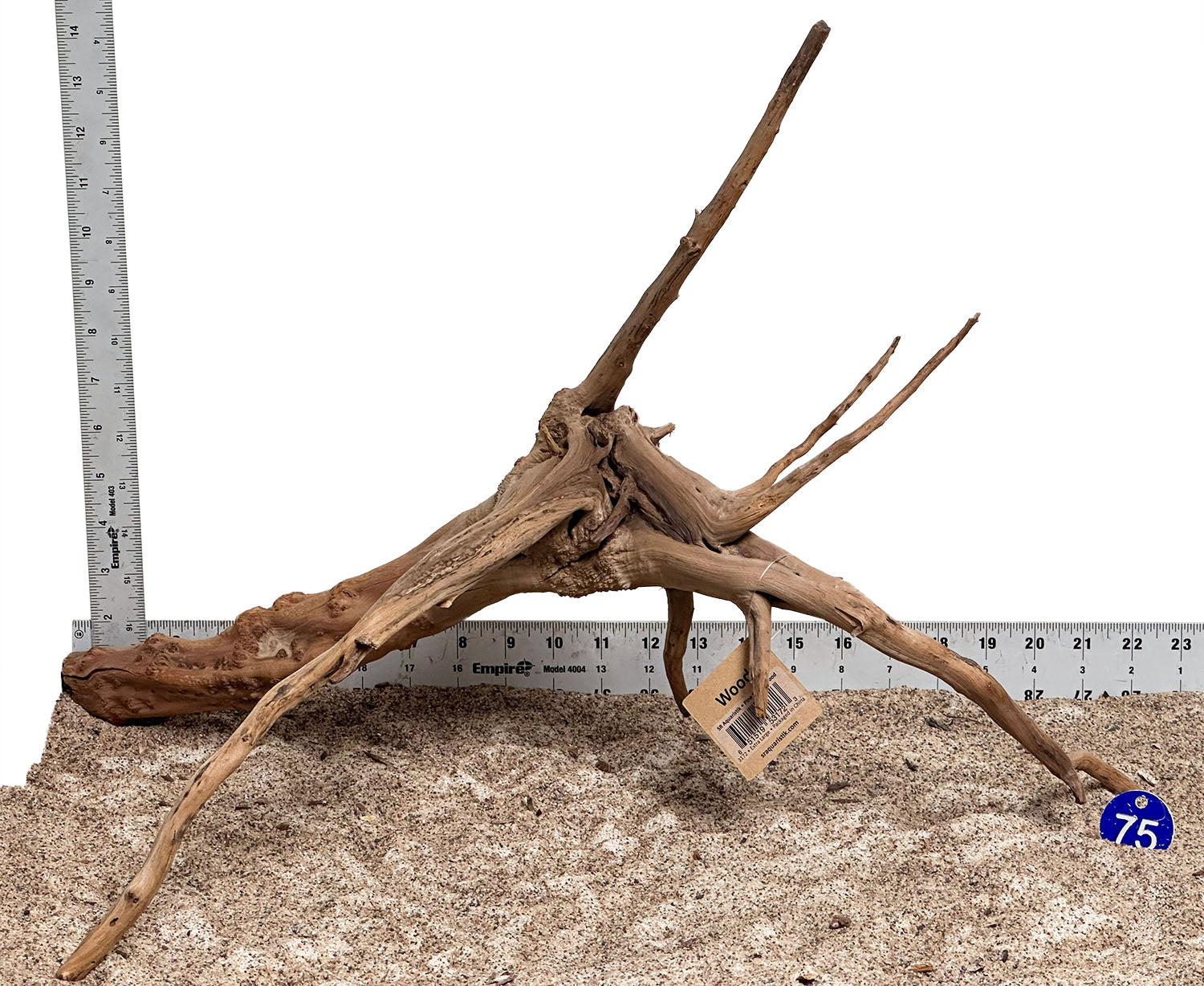 WYSIWYG 75BU - 260616 - Pine Spider Wood (XL)