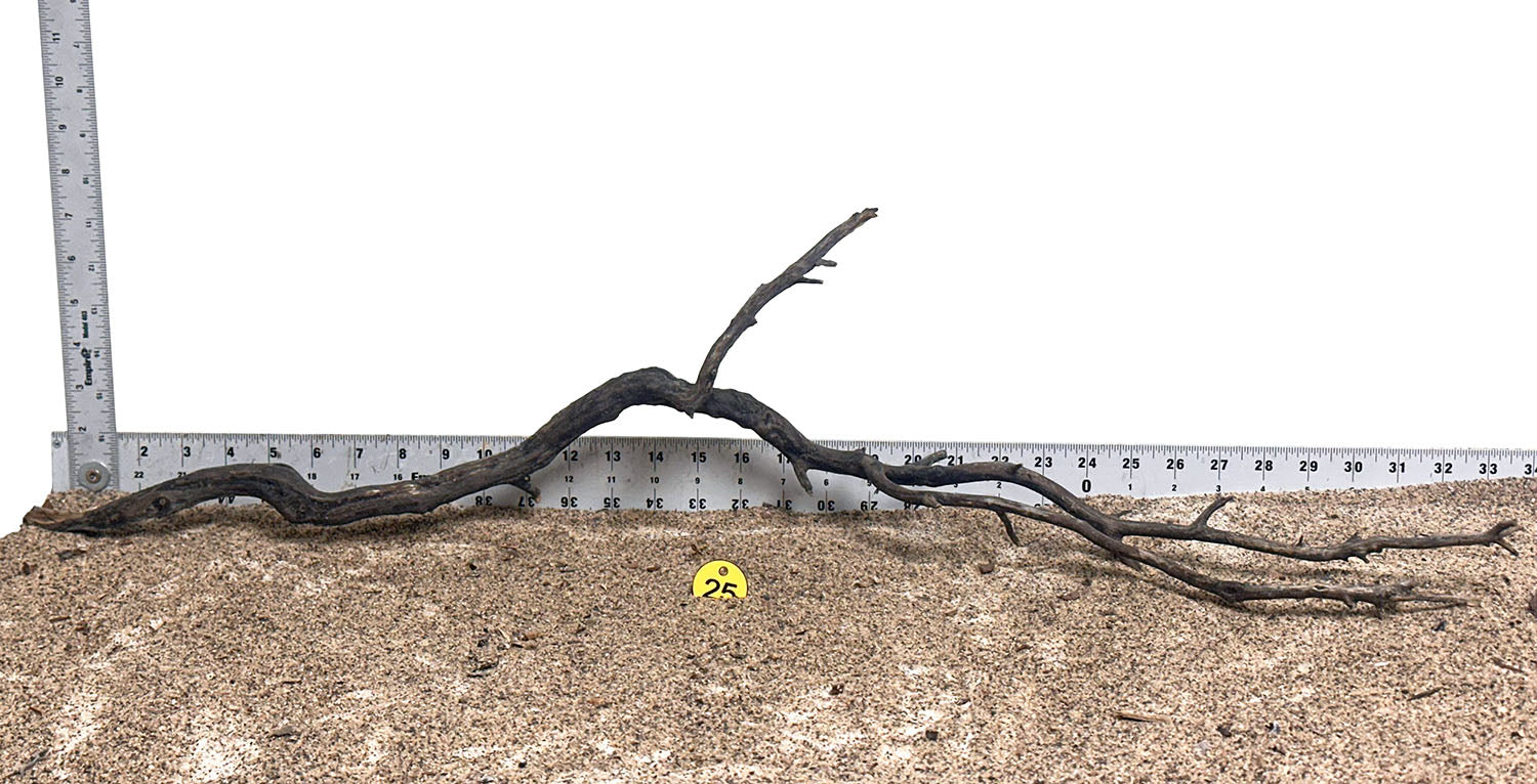 WYSIWYG 25Y - 260325 - Manzanita Wood (XXL)