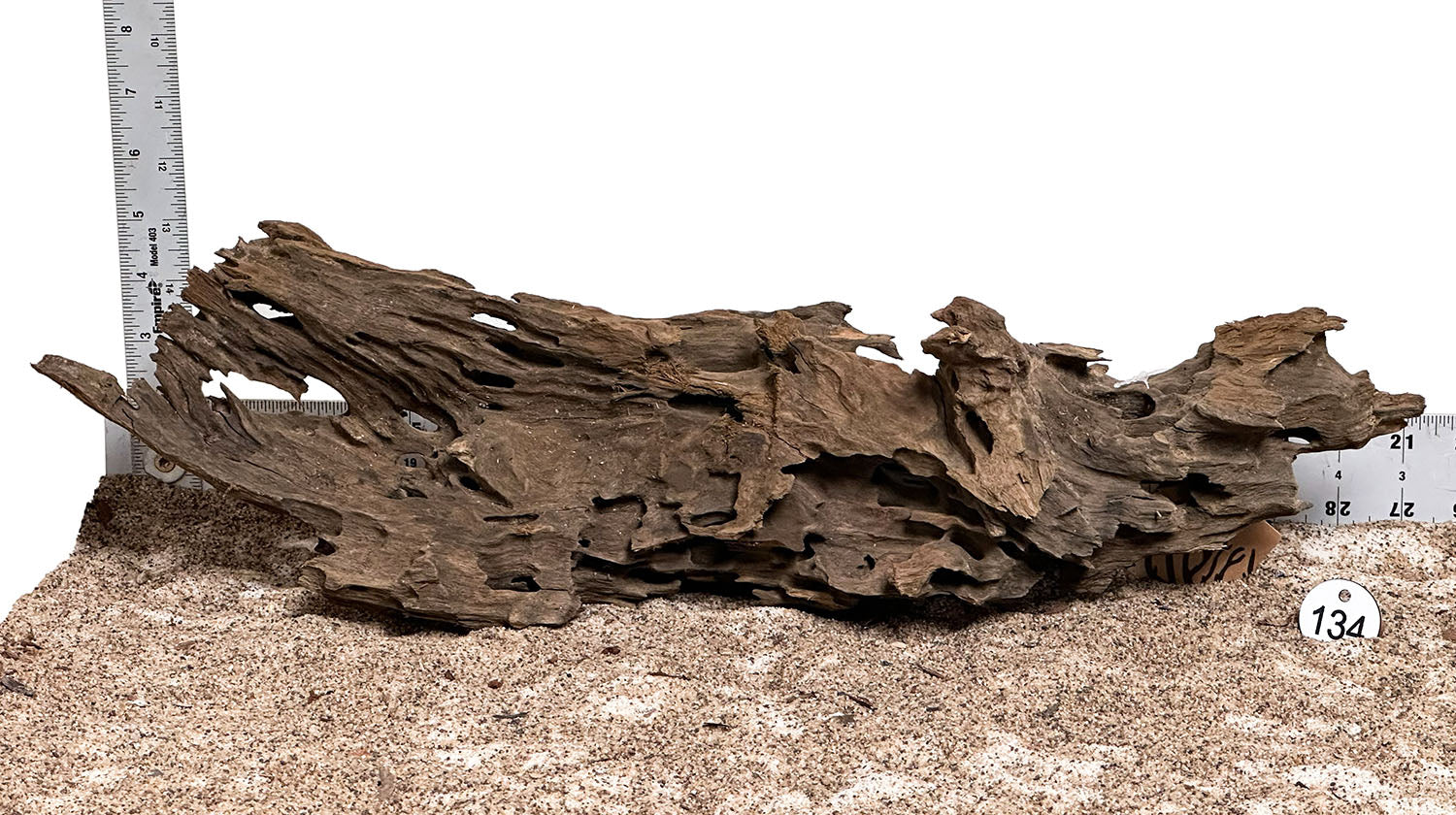 WYSIWYG 134S - 260325 - Ohko Wood (Large)