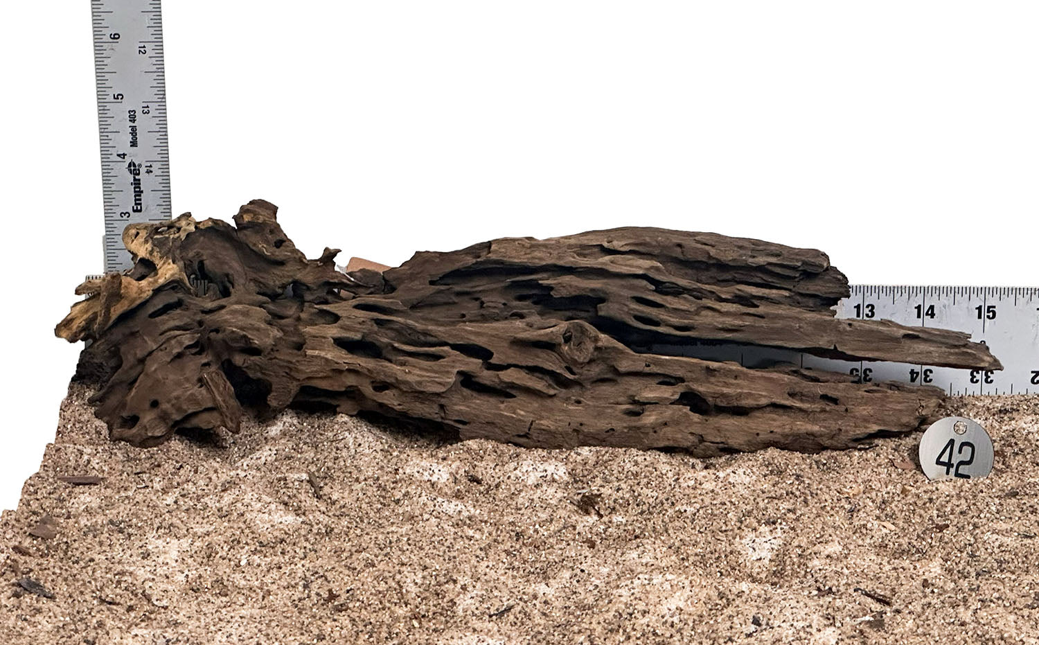 WYSIWYG 42S - 260325 - Ohko Wood (Medium)