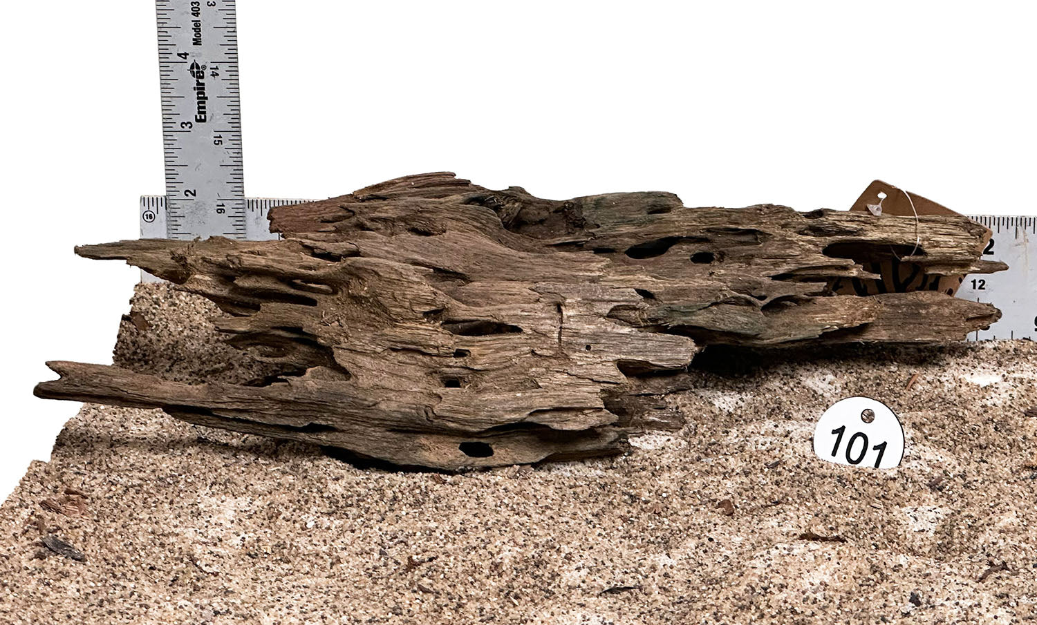 WYSIWYG 47S - 260325 - Ohko Wood (Medium)