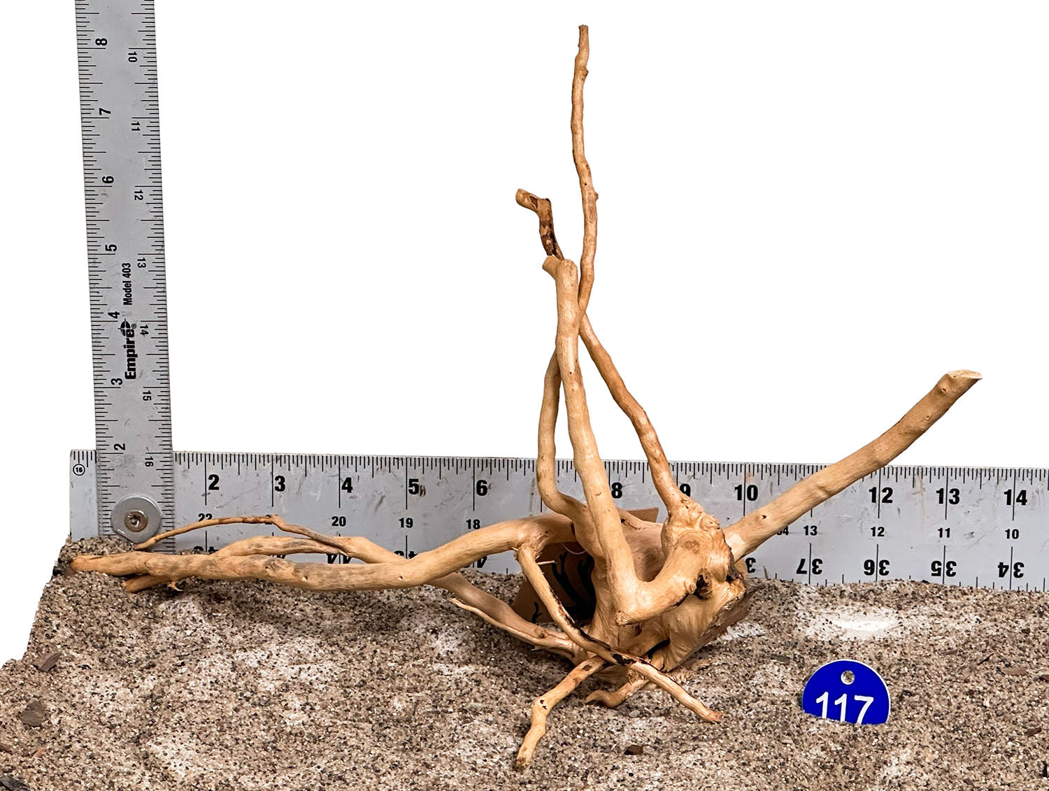 WYSIWYG 117BU - 260325 - Spider Wood (Small)