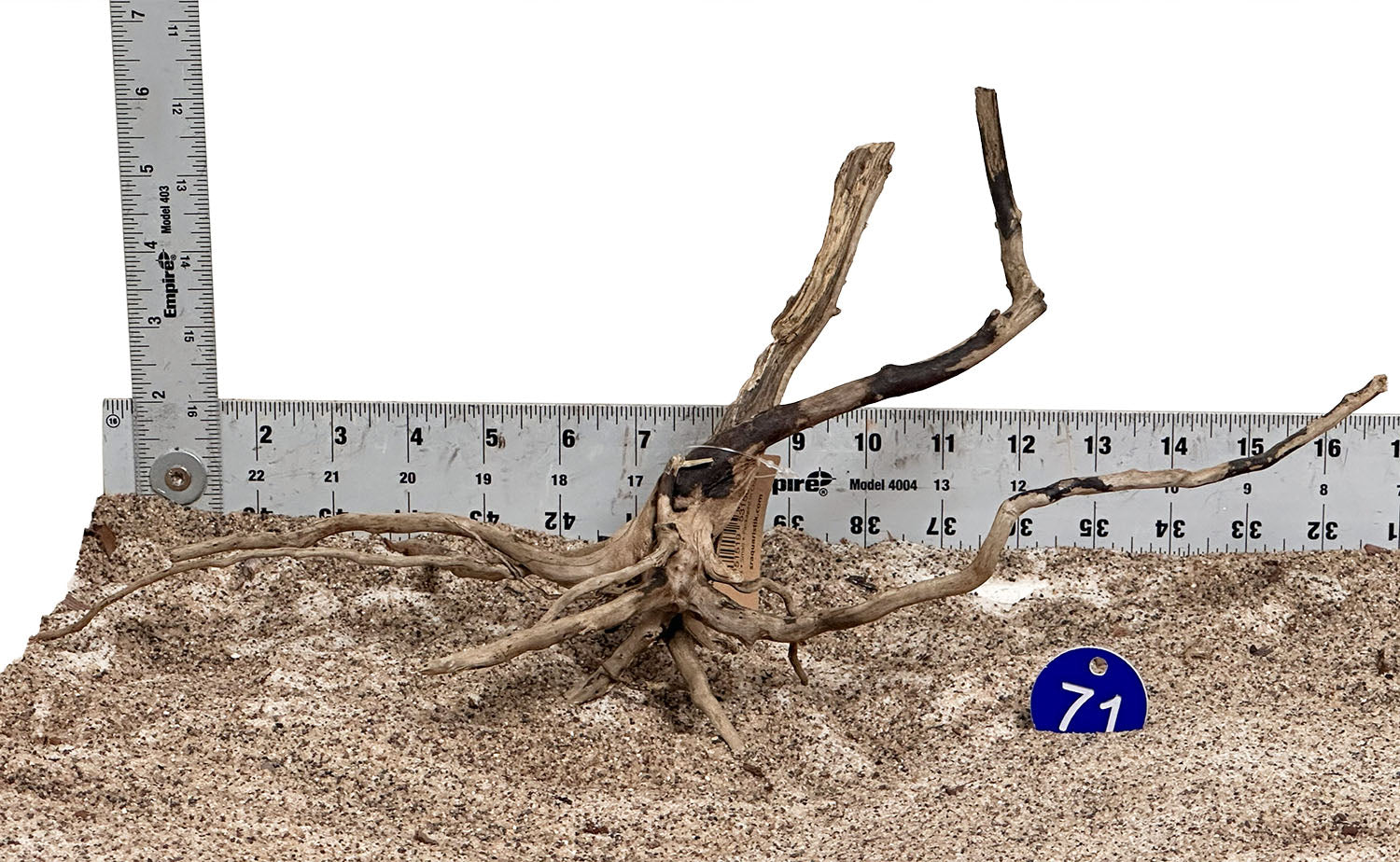 WYSIWYG 71BU - 260502 - Black Spider Wood (Small)