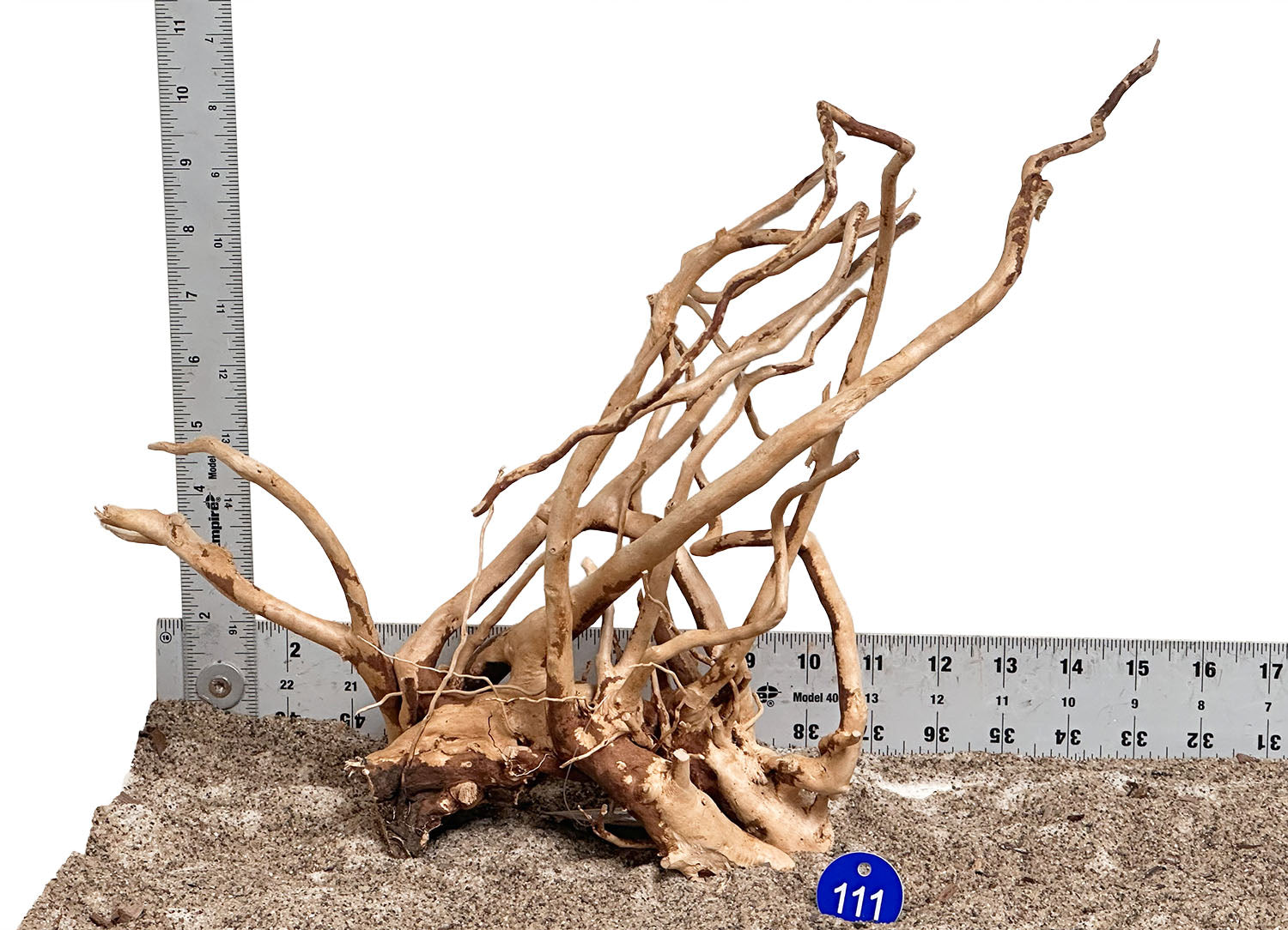WYSIWYG 111BU - 260502 - Spider Wood (Medium)
