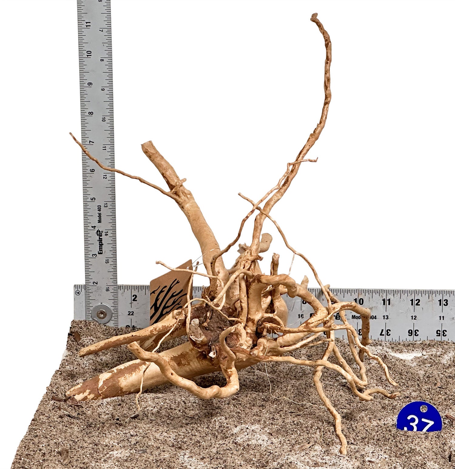 WYSIWYG 37BU - 260502 - Spider Wood (Small)