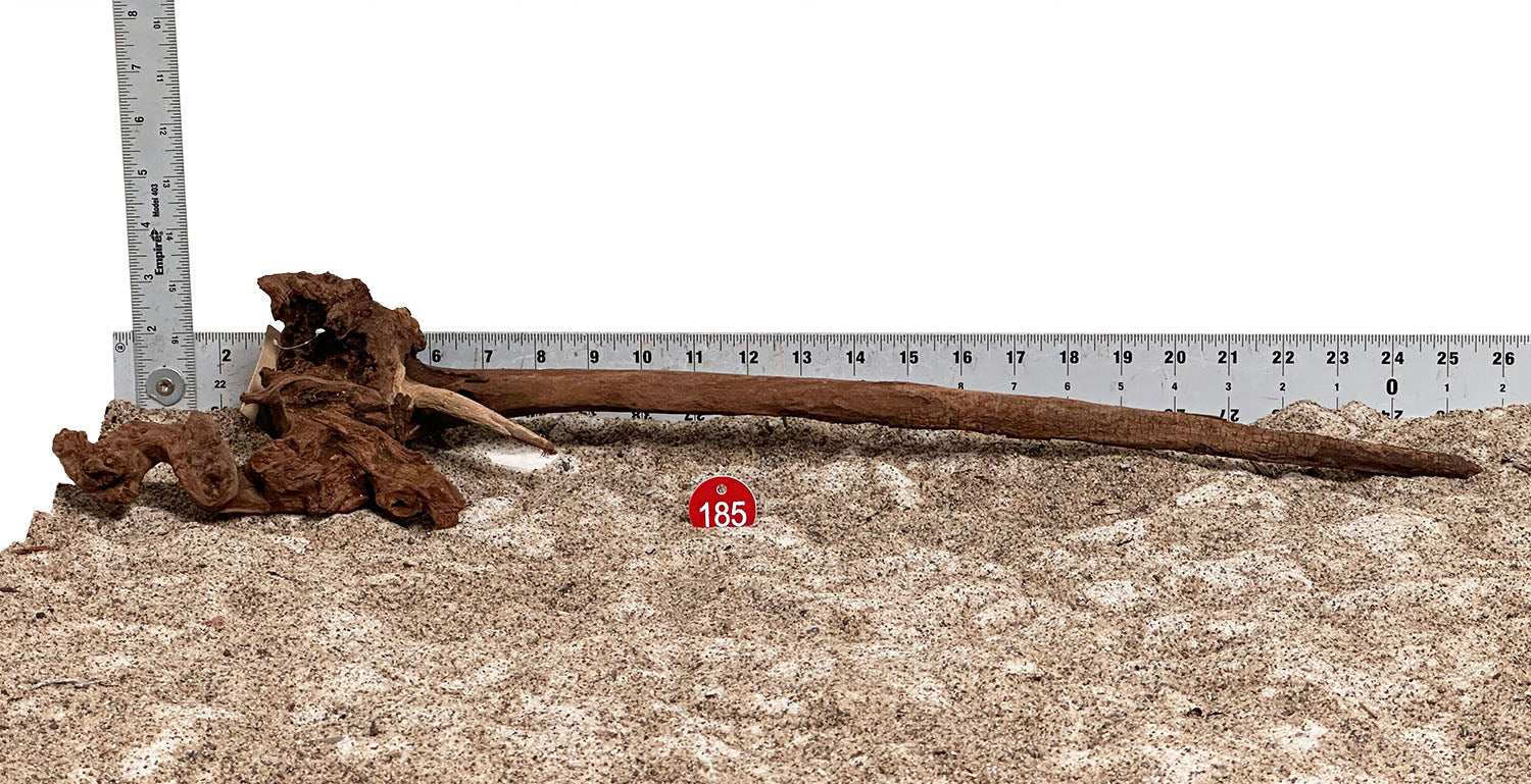 WYSIWYG 185RD - 260520 - Gnarly Wood (Large)
