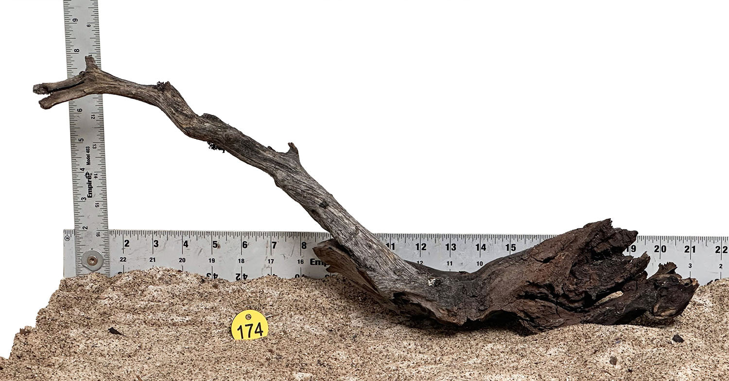 WYSIWYG 174Y - 260520 - Manzanita Wood (Large)