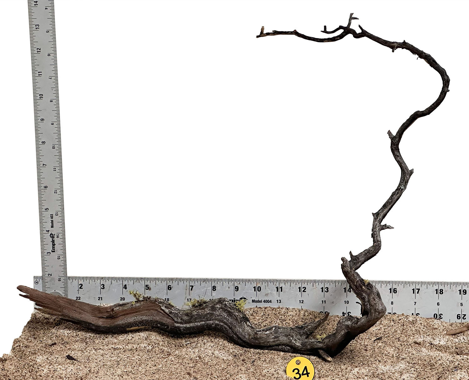 WYSIWYG 34Y - 260520 - Manzanita Wood (Medium)
