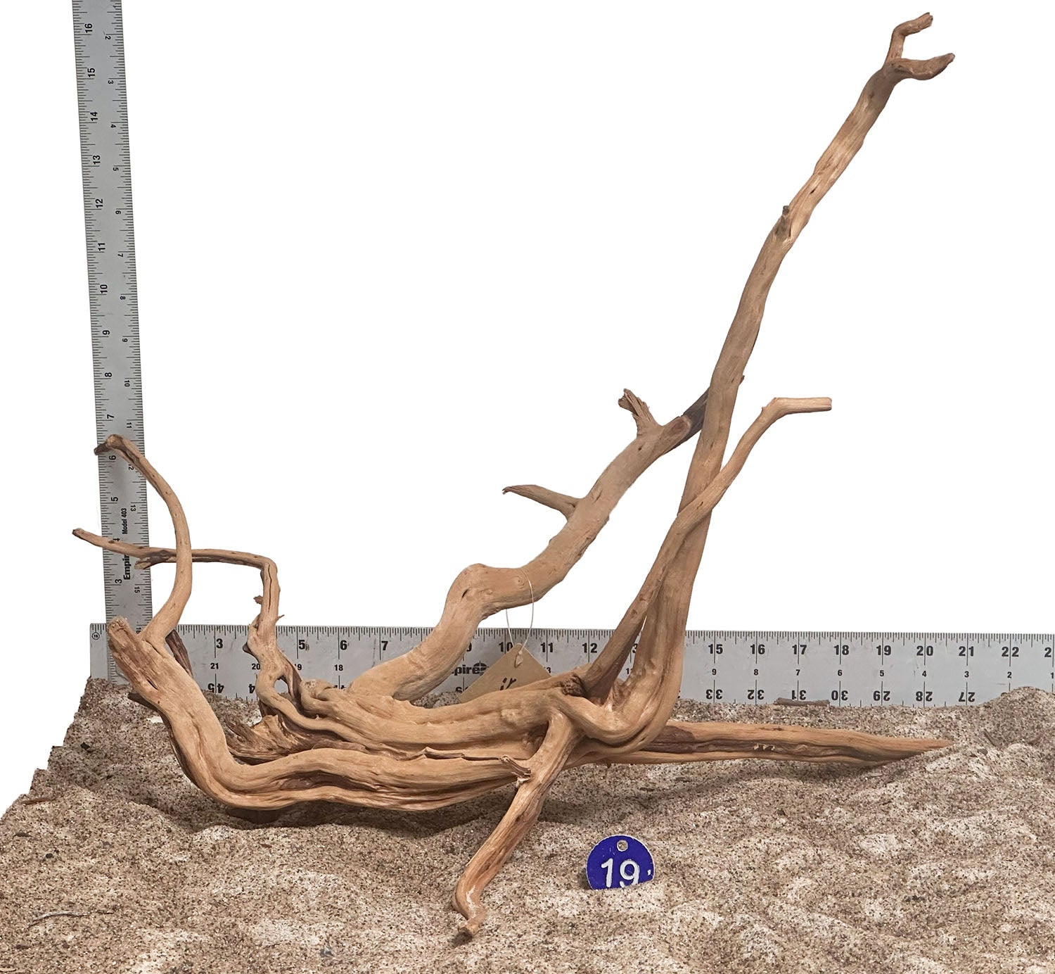 WYSIWYG 19BU - 260520 - Pine Spider Wood (Large)