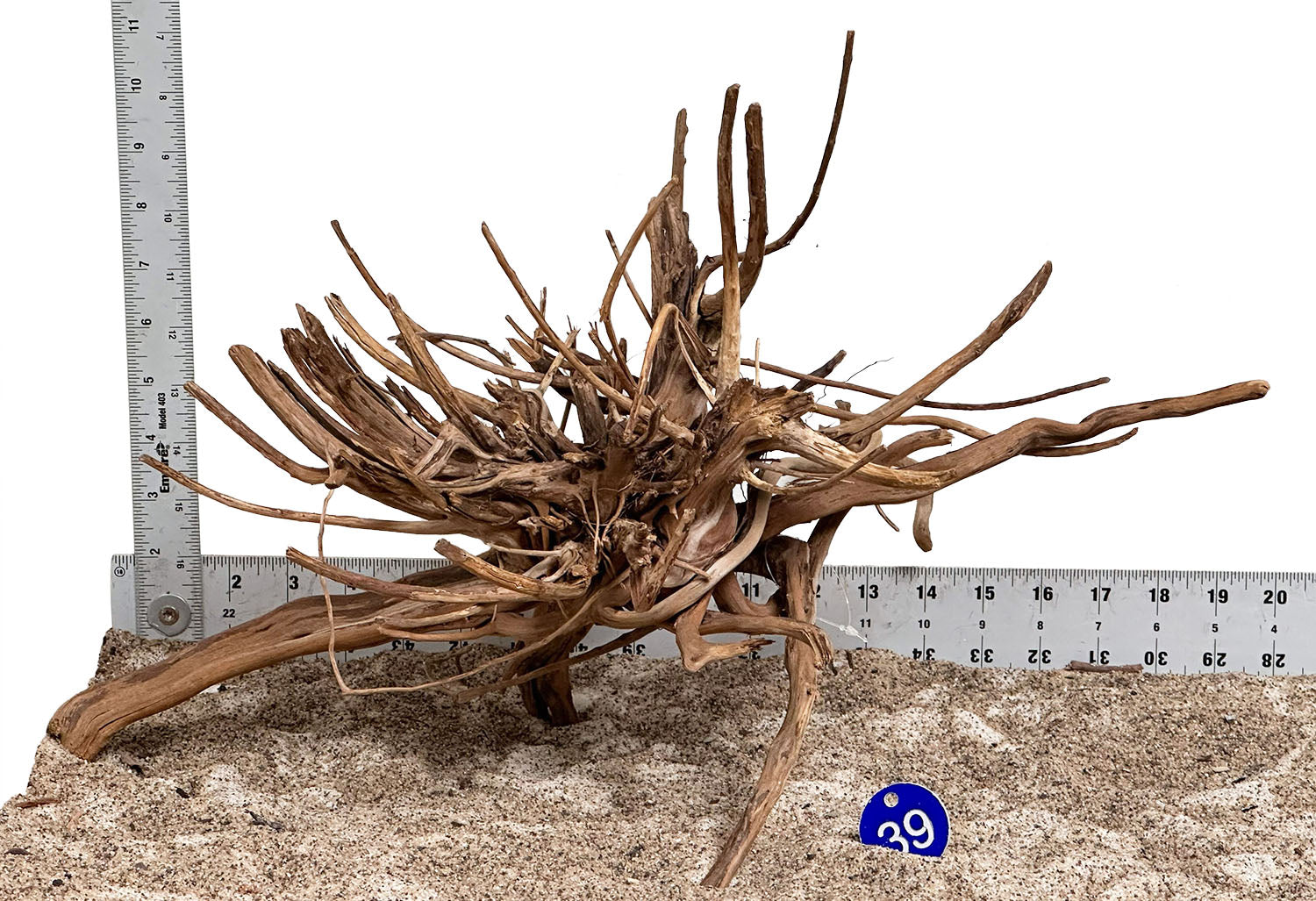 WYSIWYG 39BU - 260520 - Pine Spider Wood (Medium)