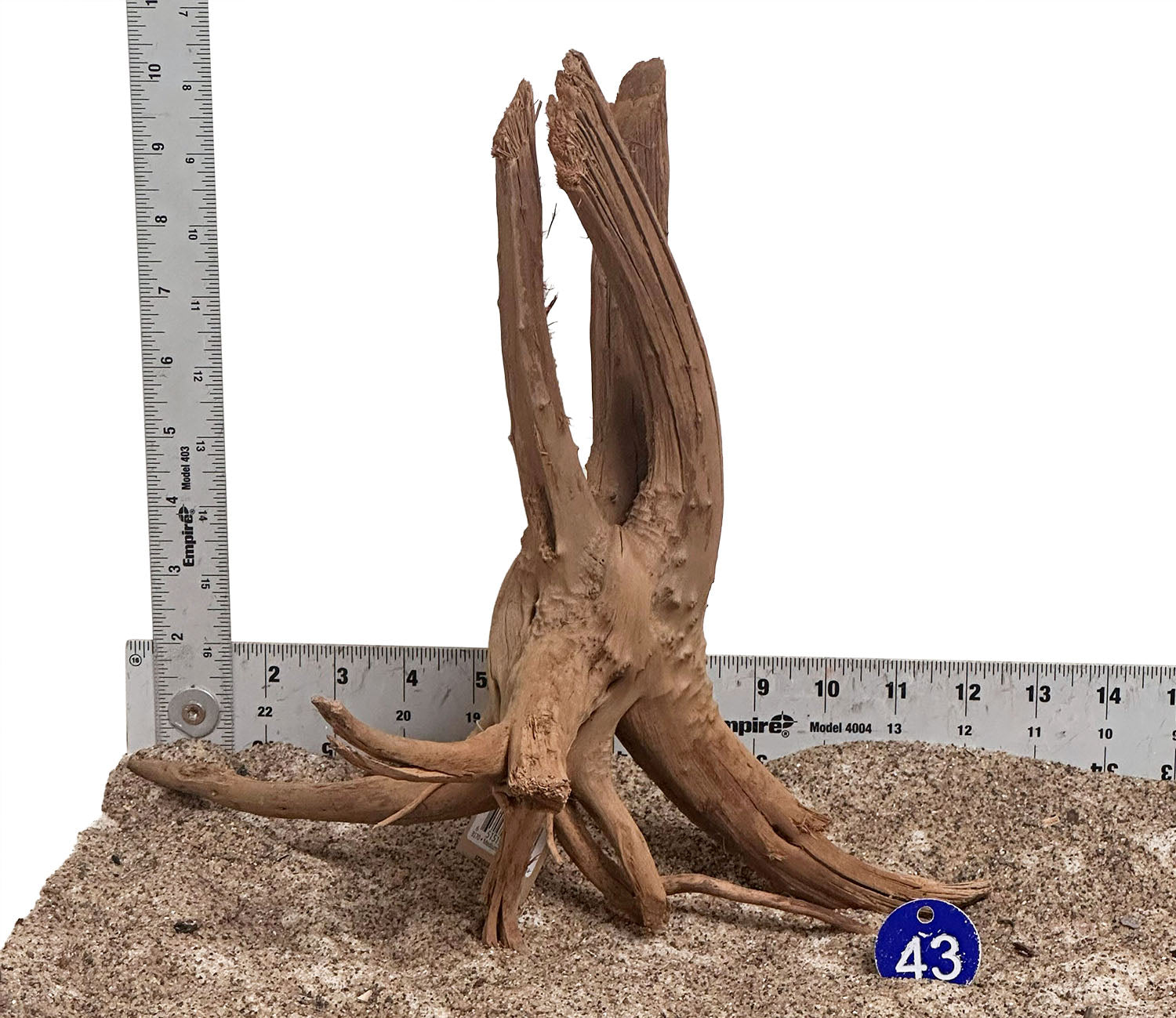 WYSIWYG 43BU - 260520 - Pine Spider Wood (Medium)