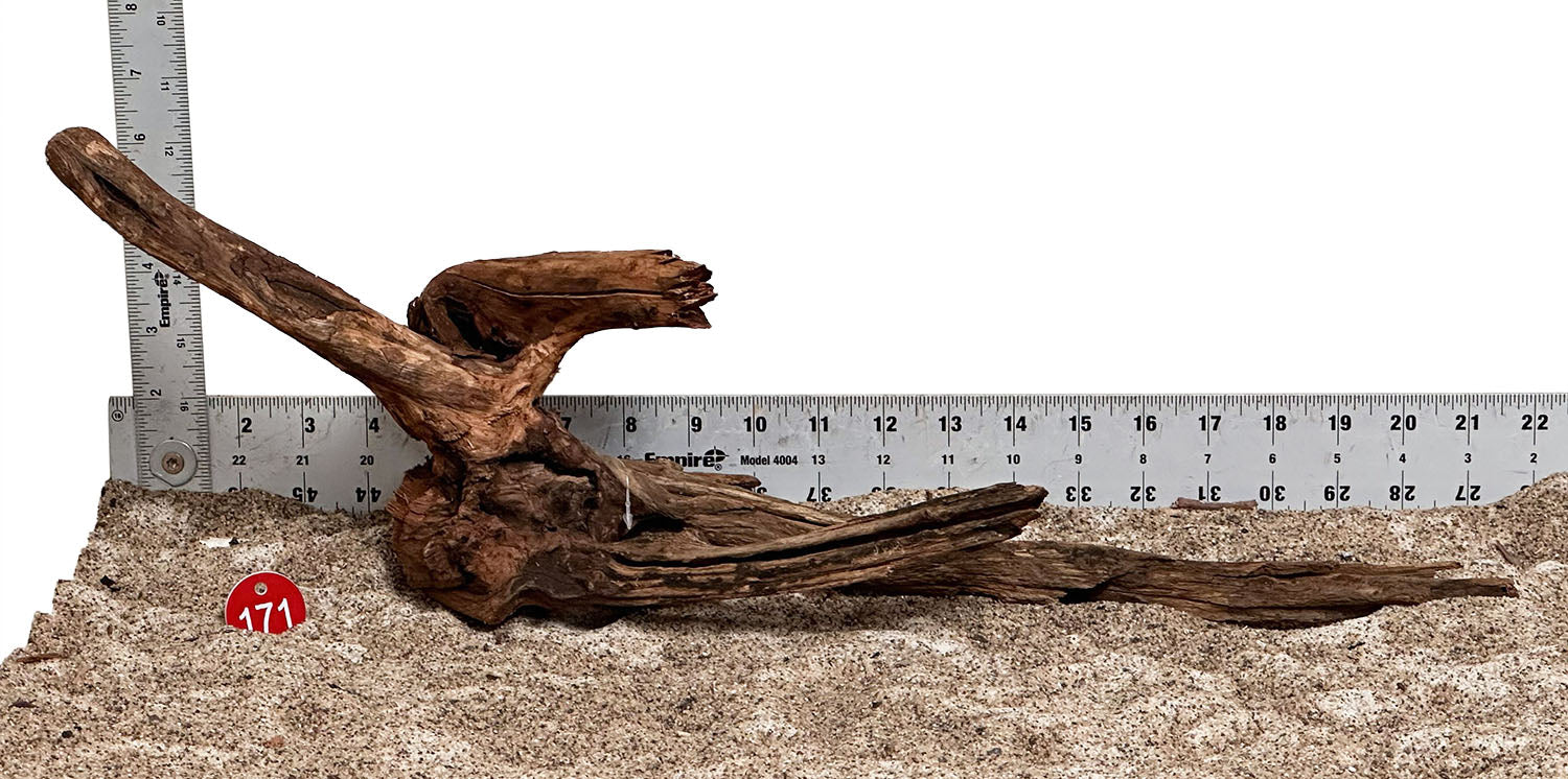 WYSIWYG 171RD - 260520 - Weathered Driftwood (Large)