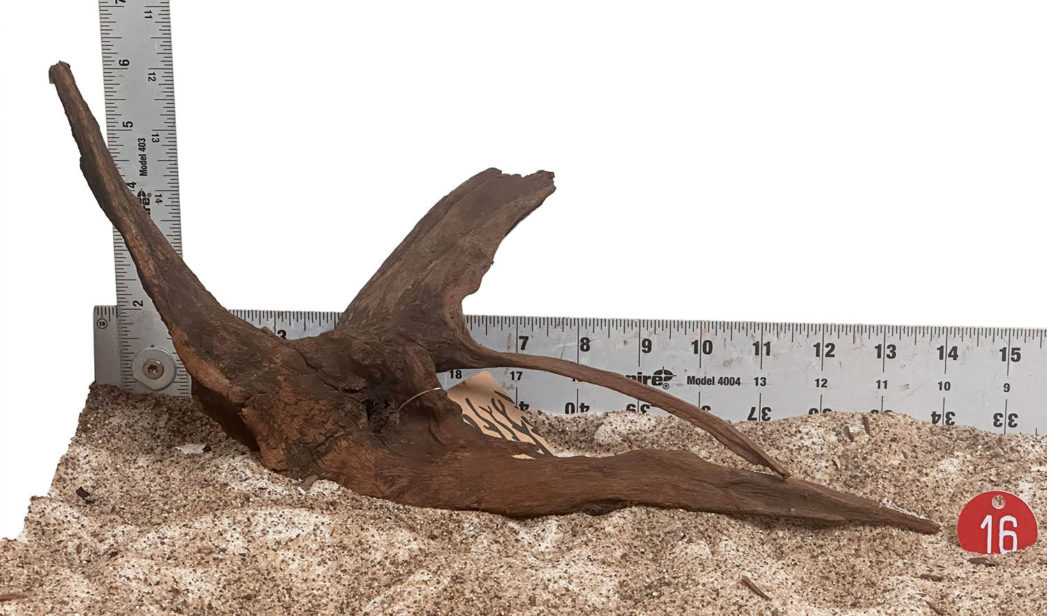 WYSIWYG 16RD - 260520 - Weathered Driftwood (Small)