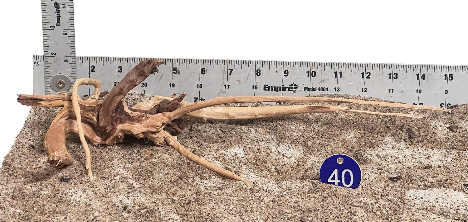 WYSIWYG 40BU - 260520 - Weathered Spider Wood (Medium)